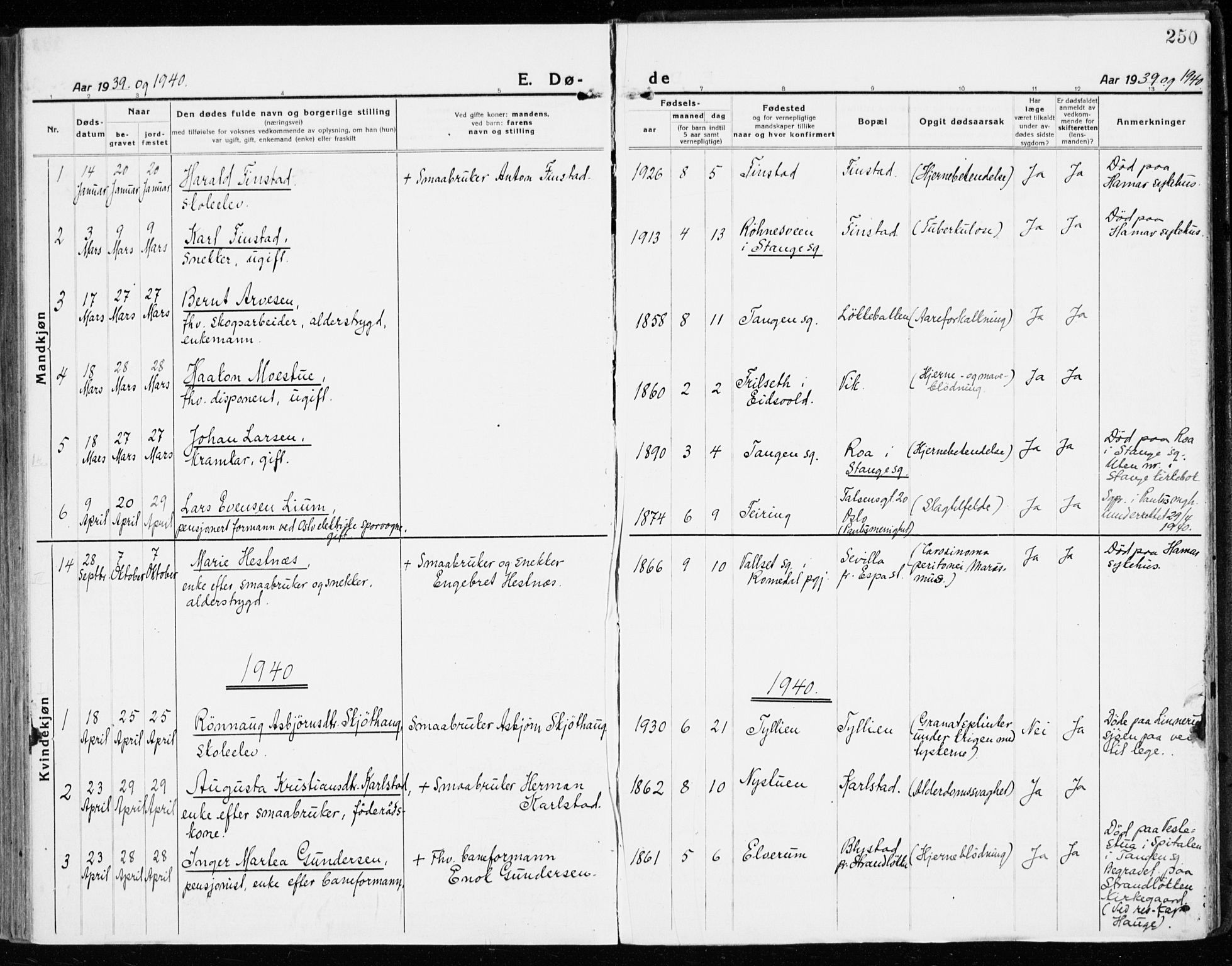 Stange prestekontor, SAH/PREST-002/K/L0025: Parish register (official) no. 25, 1921-1945, p. 250