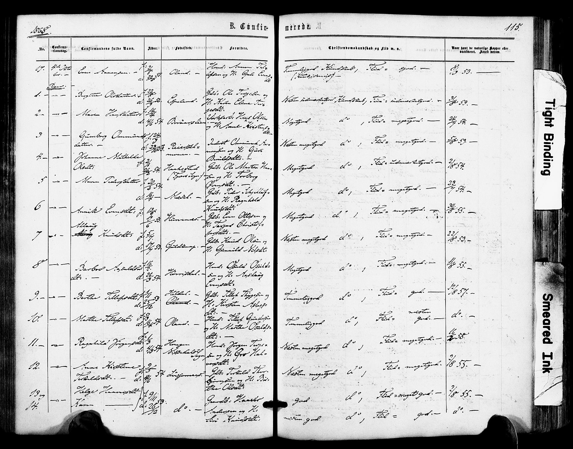 Froland sokneprestkontor, AV/SAK-1111-0013/F/Fa/L0003: Parish register (official) no. A 3, 1864-1881, p. 115