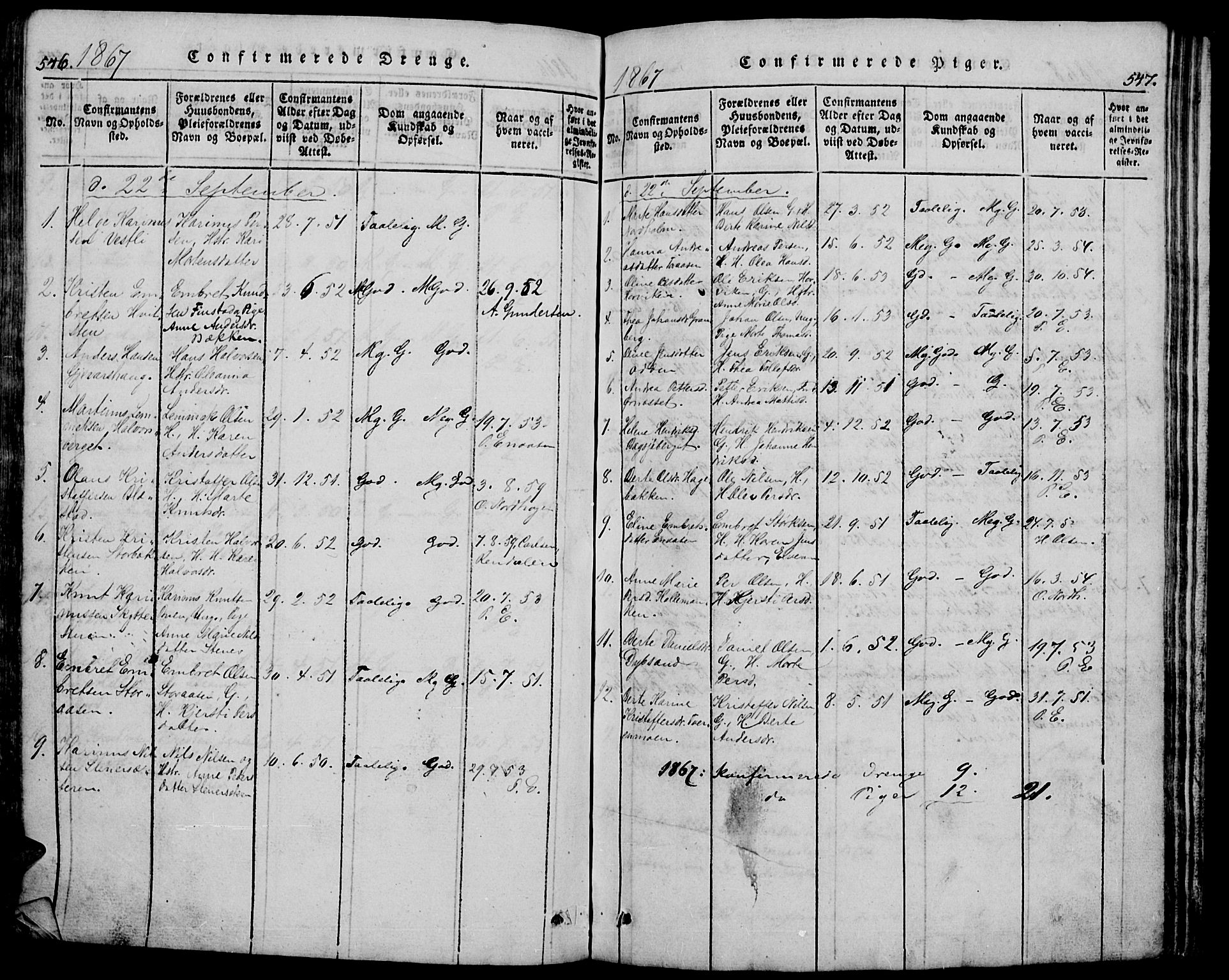 Trysil prestekontor, AV/SAH-PREST-046/H/Ha/Hab/L0005: Parish register (copy) no. 5, 1814-1877, p. 546-547