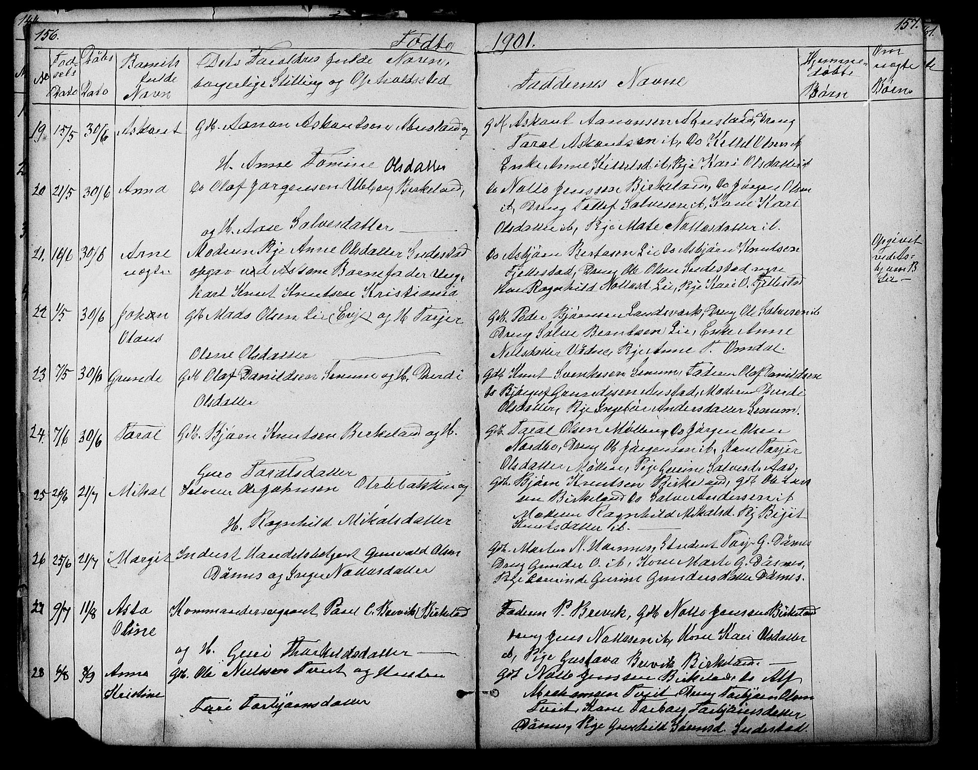 Evje sokneprestkontor, AV/SAK-1111-0008/F/Fb/Fbb/L0002: Parish register (copy) no. B 2, 1879-1909, p. 156-157