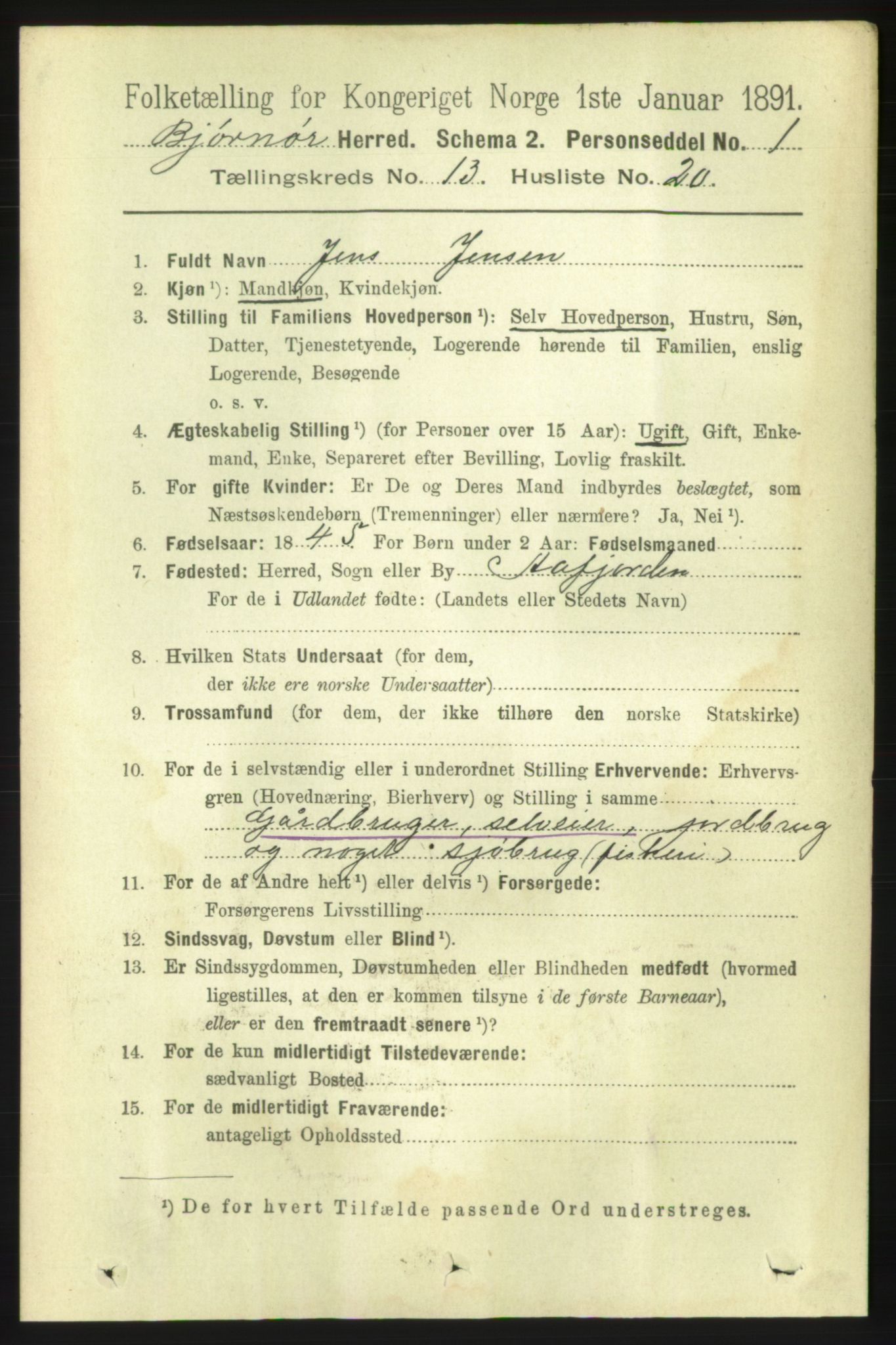 RA, 1891 census for 1632 Bjørnør, 1891, p. 5678