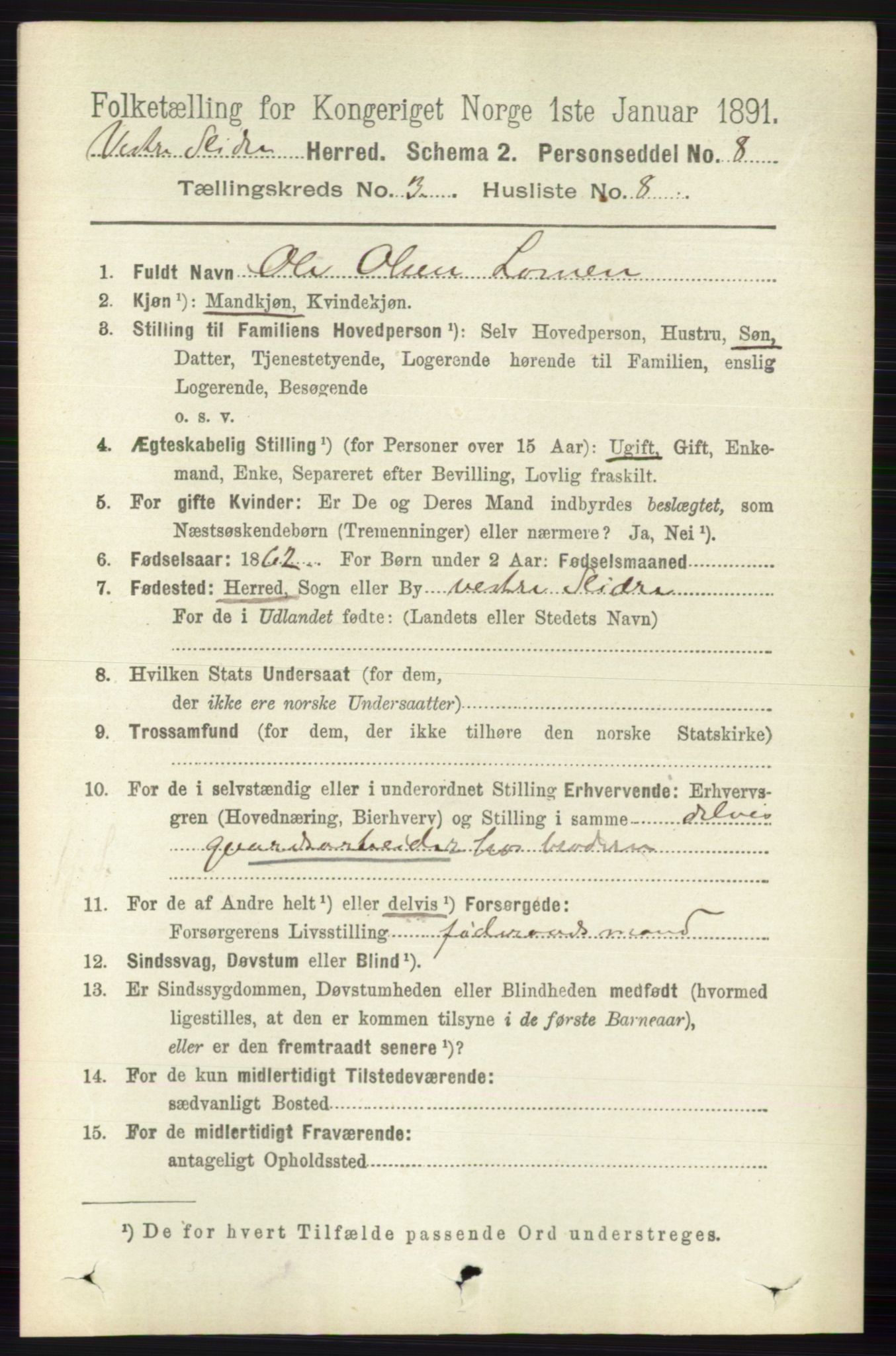 RA, 1891 census for 0543 Vestre Slidre, 1891, p. 869