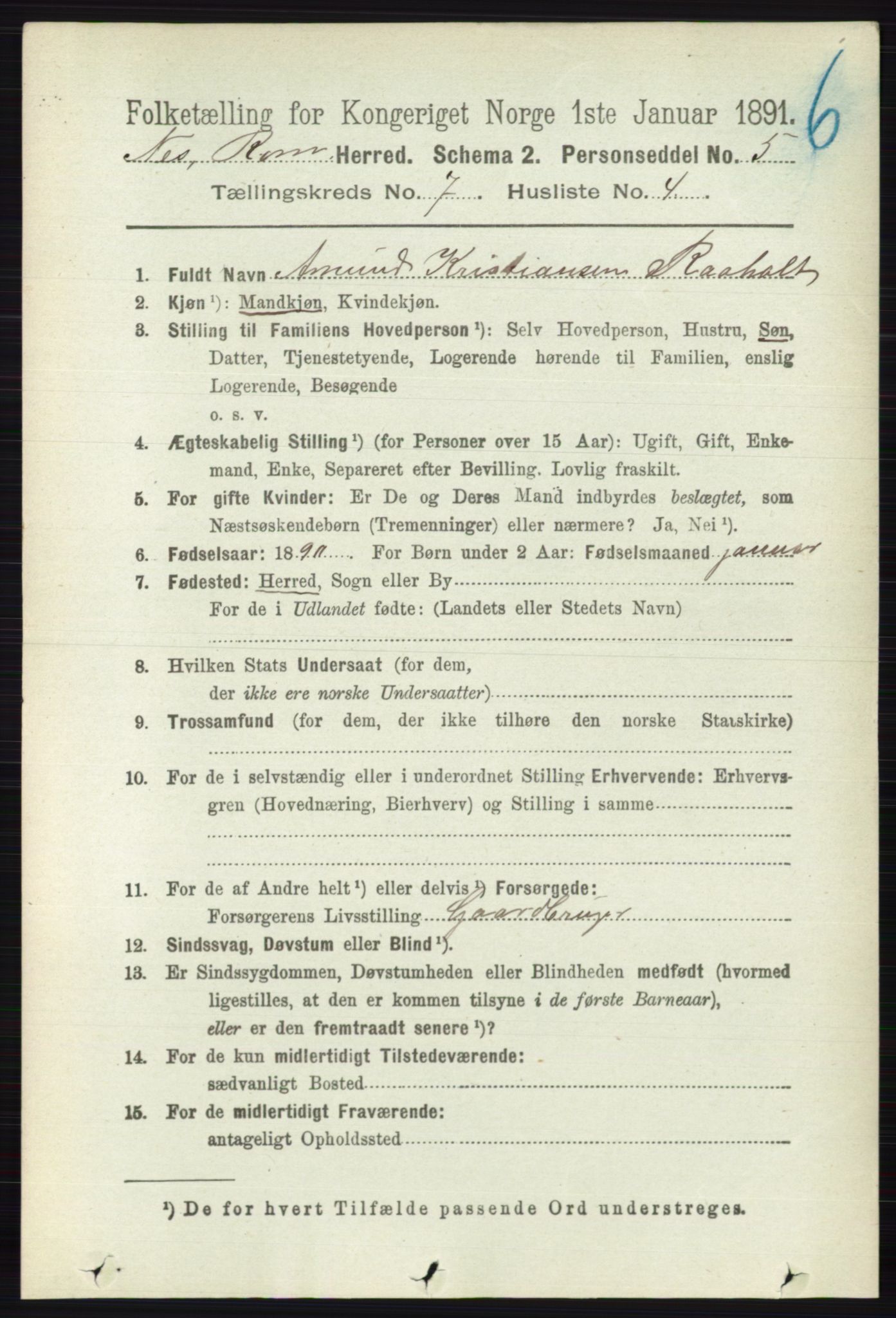RA, 1891 census for 0236 Nes, 1891, p. 4046