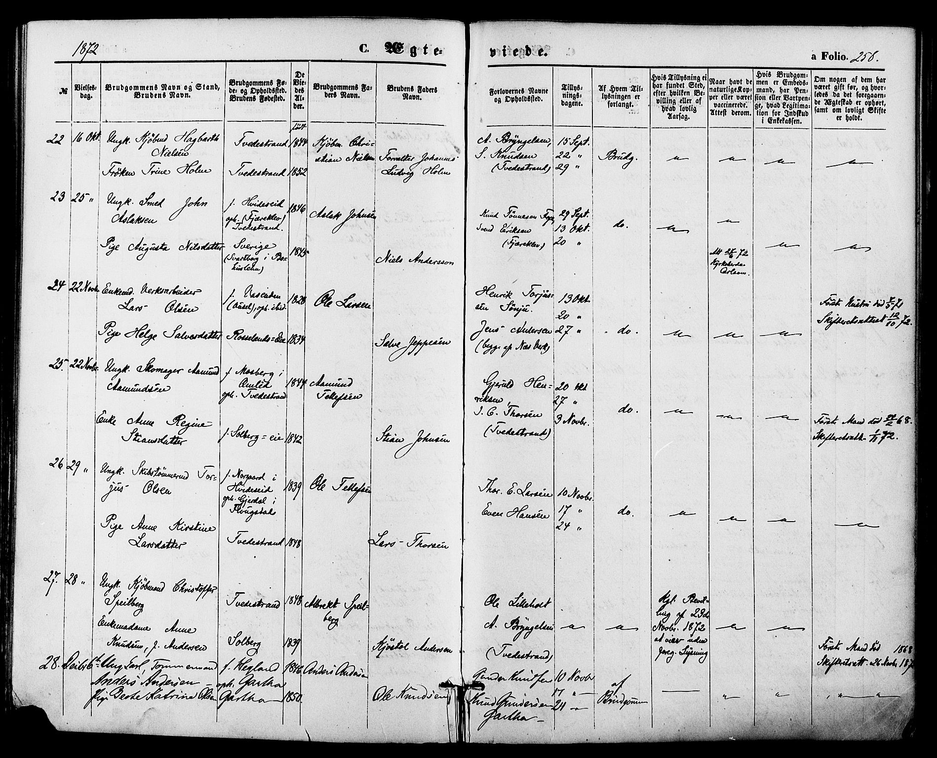 Holt sokneprestkontor, AV/SAK-1111-0021/F/Fa/L0010: Parish register (official) no. A 10, 1872-1885, p. 258