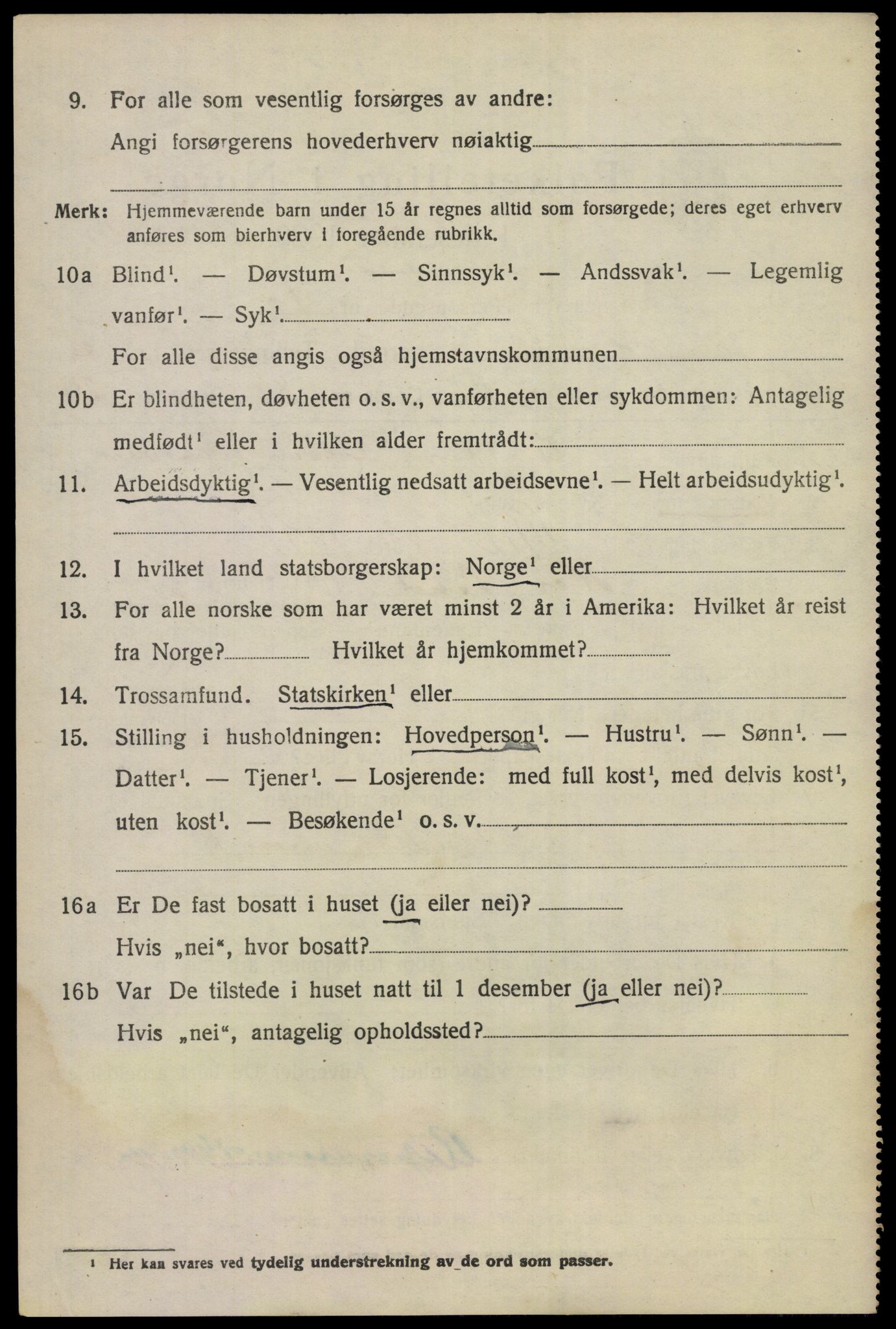 SAKO, 1920 census for Nes (Buskerud), 1920, p. 1485