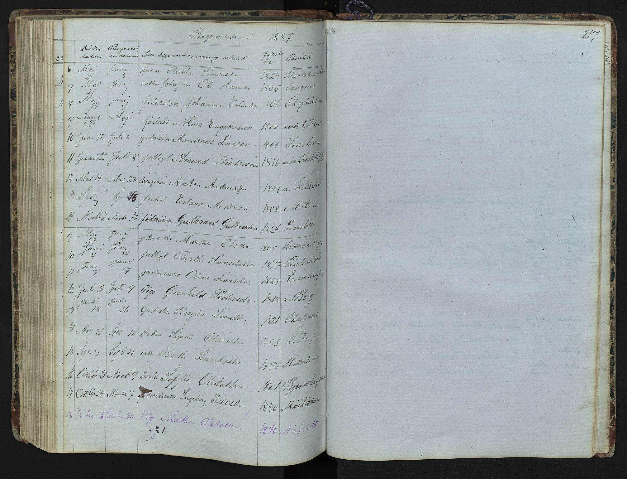 Vestre Gausdal prestekontor, SAH/PREST-094/H/Ha/Hab/L0001: Parish register (copy) no. 1, 1867-1895, p. 217