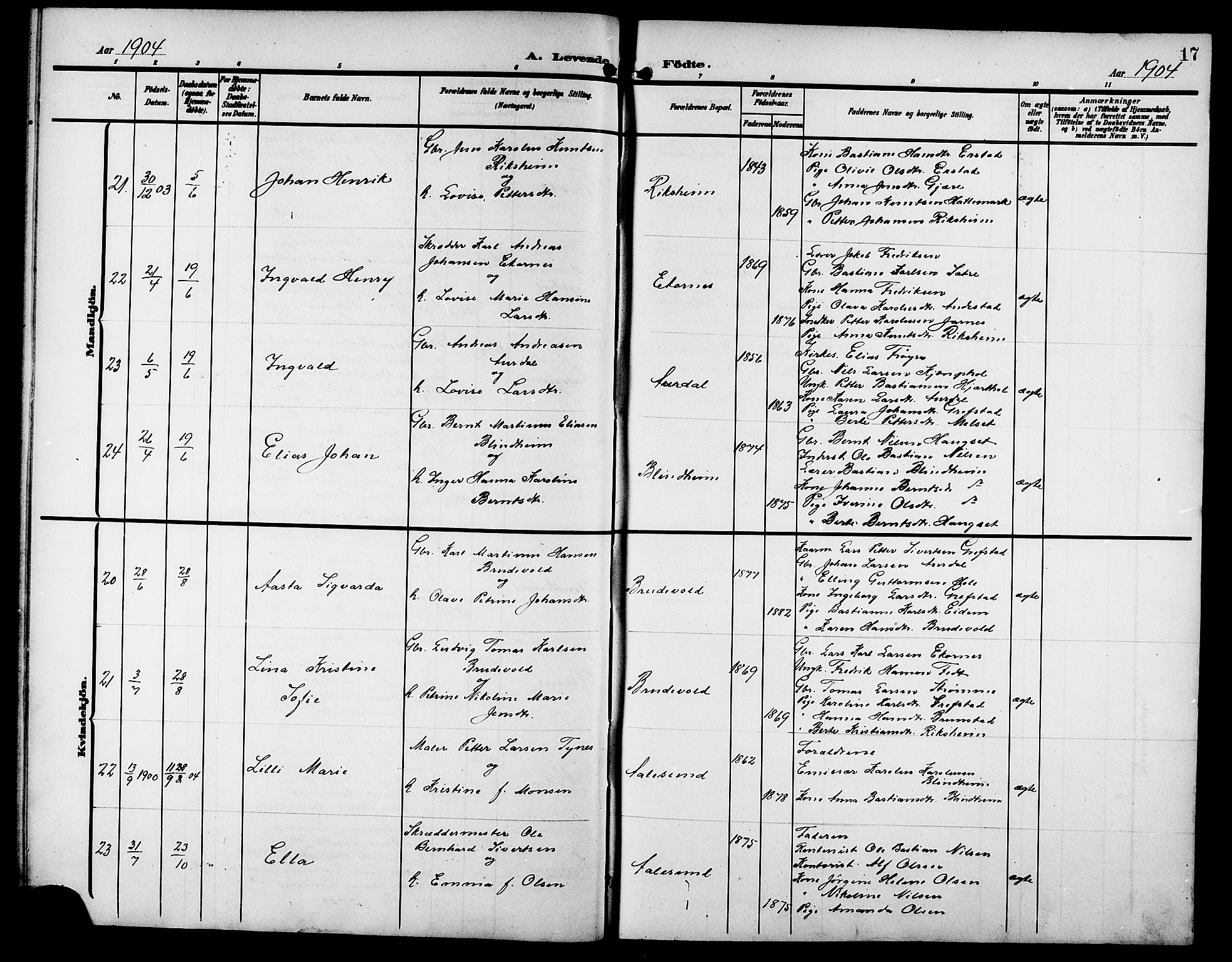 Ministerialprotokoller, klokkerbøker og fødselsregistre - Møre og Romsdal, AV/SAT-A-1454/523/L0341: Parish register (copy) no. 523C04, 1903-1916, p. 17