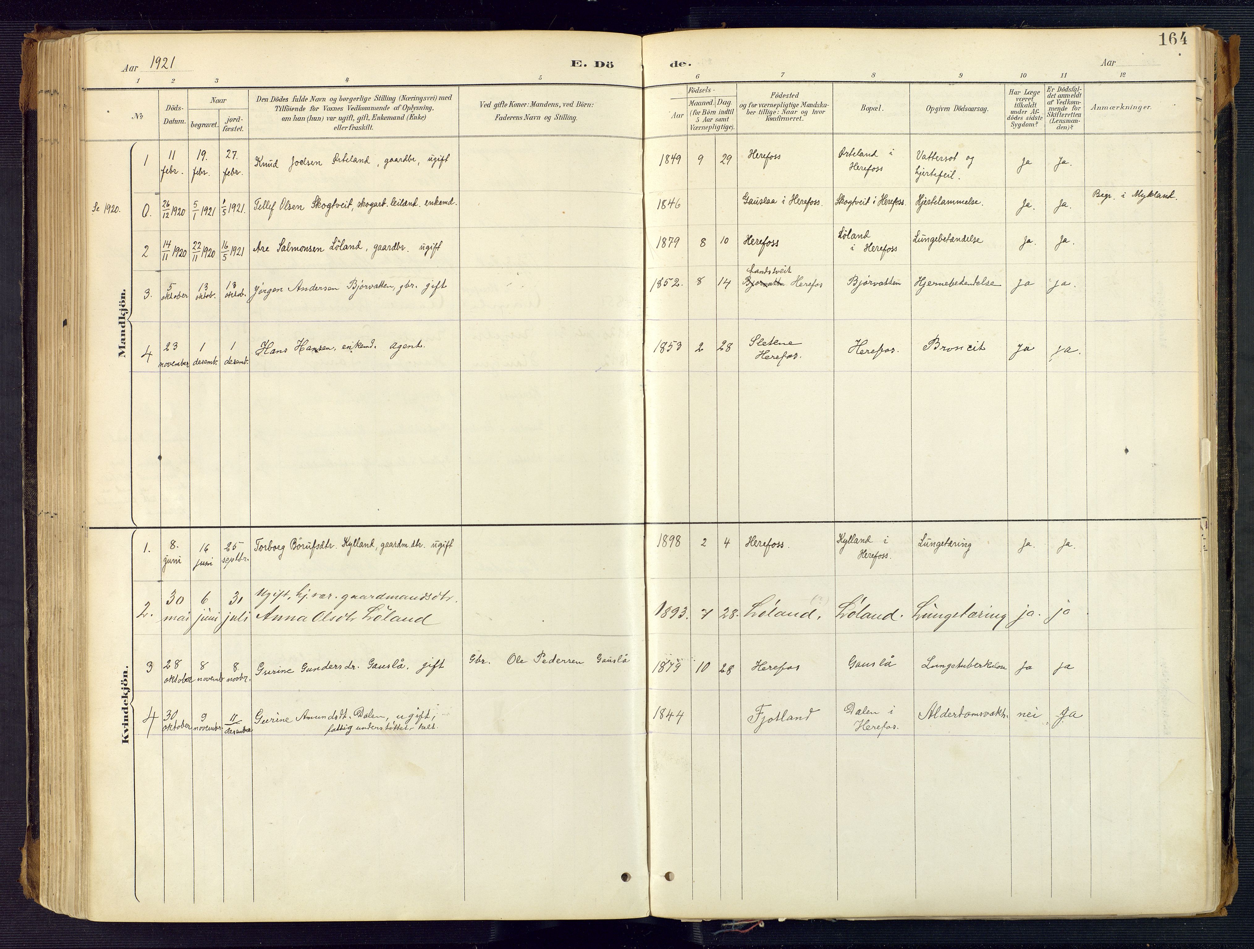 Herefoss sokneprestkontor, SAK/1111-0019/F/Fa/Faa/L0003: Parish register (official) no. A 3, 1887-1930, p. 164