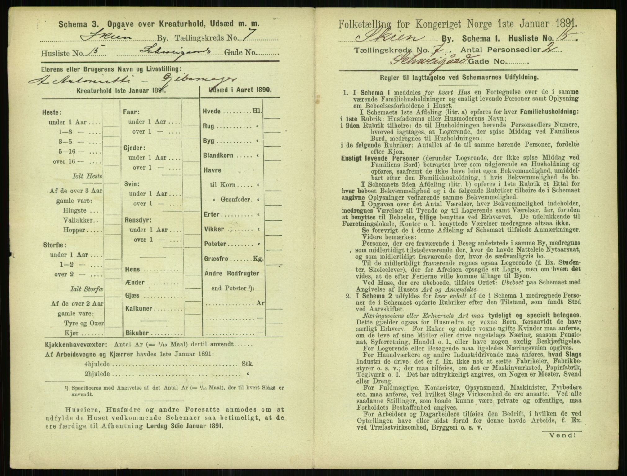 RA, 1891 census for 0806 Skien, 1891, p. 336