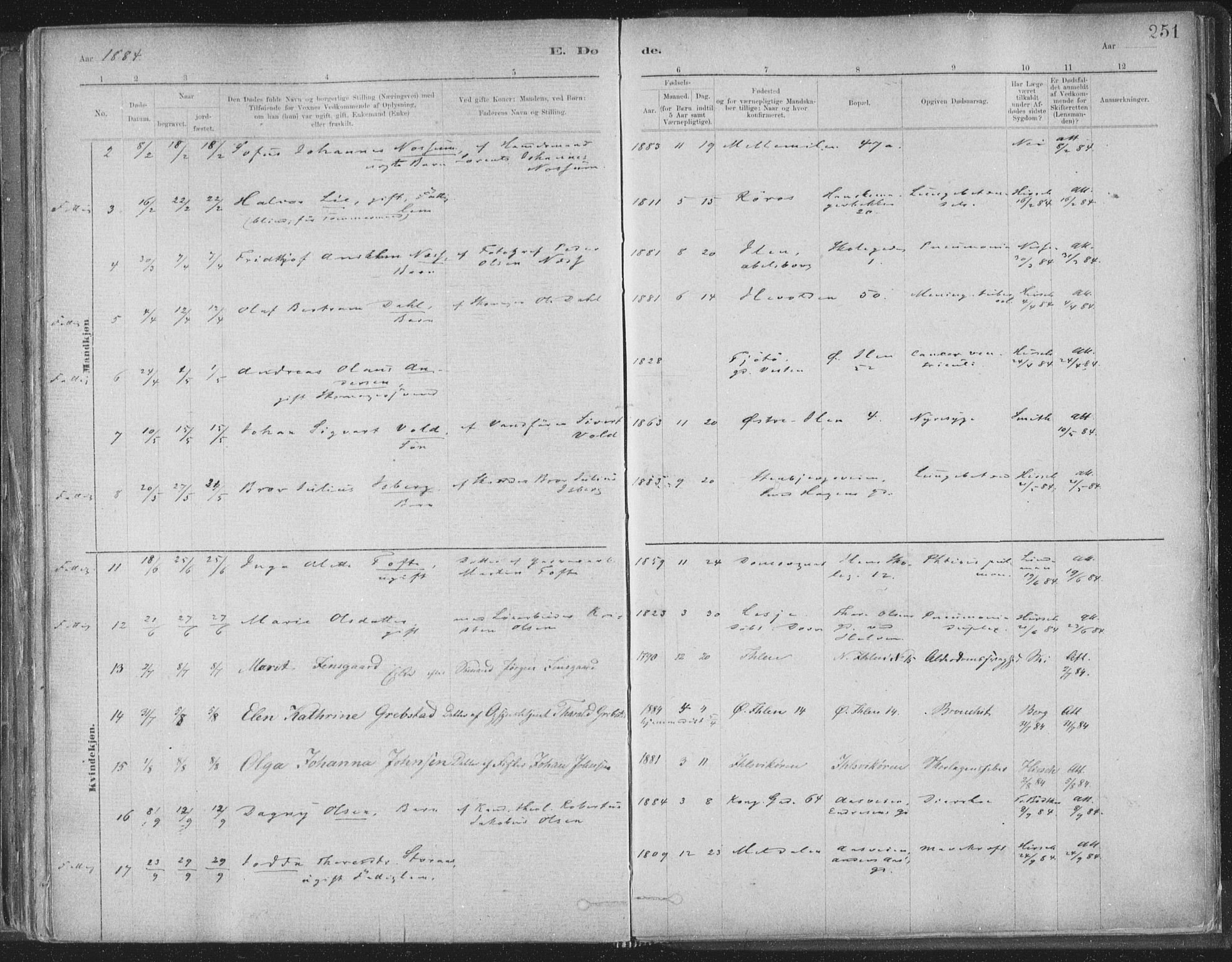 Ministerialprotokoller, klokkerbøker og fødselsregistre - Sør-Trøndelag, SAT/A-1456/603/L0162: Parish register (official) no. 603A01, 1879-1895, p. 251