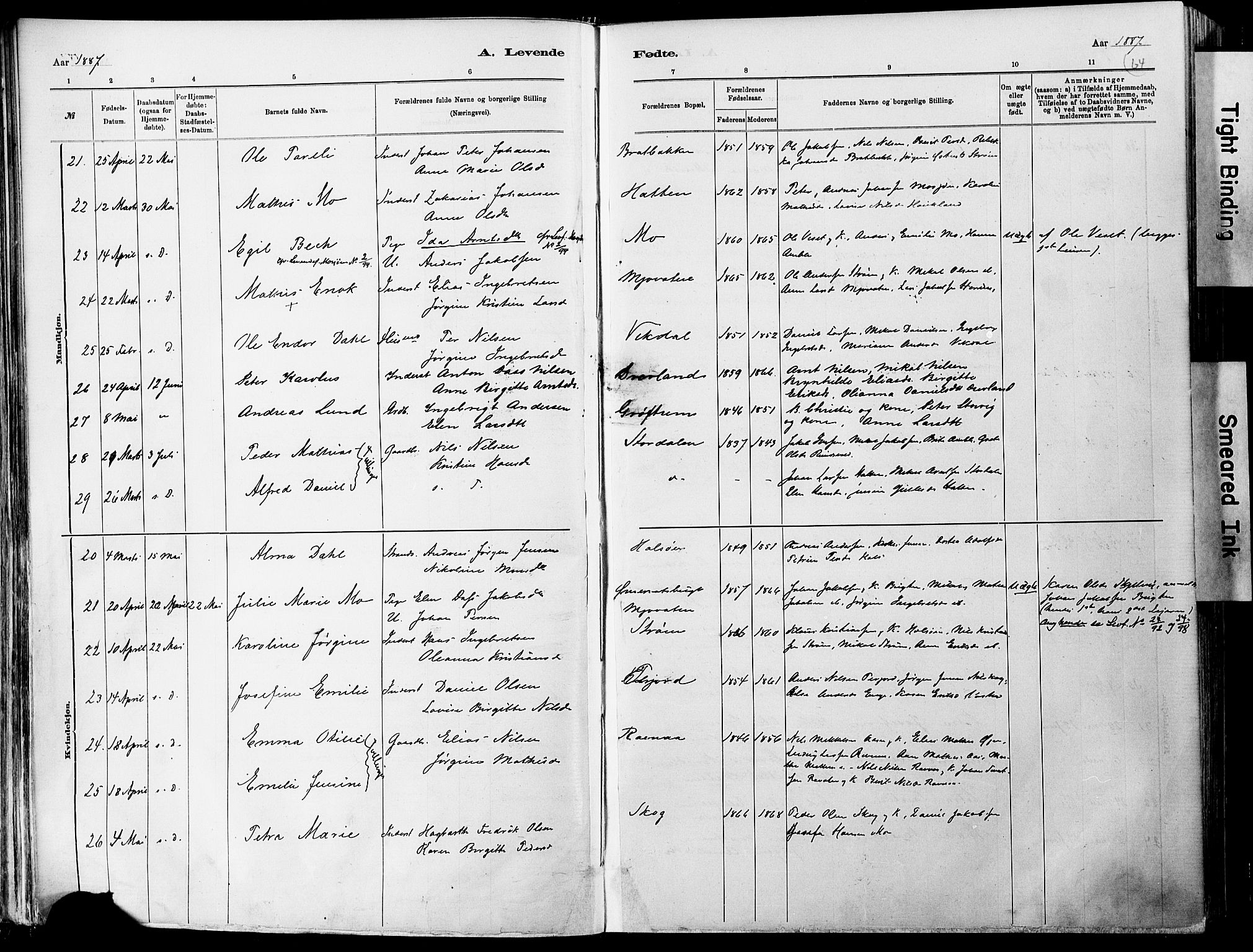 Ministerialprotokoller, klokkerbøker og fødselsregistre - Nordland, AV/SAT-A-1459/820/L0295: Parish register (official) no. 820A16, 1880-1896, p. 64