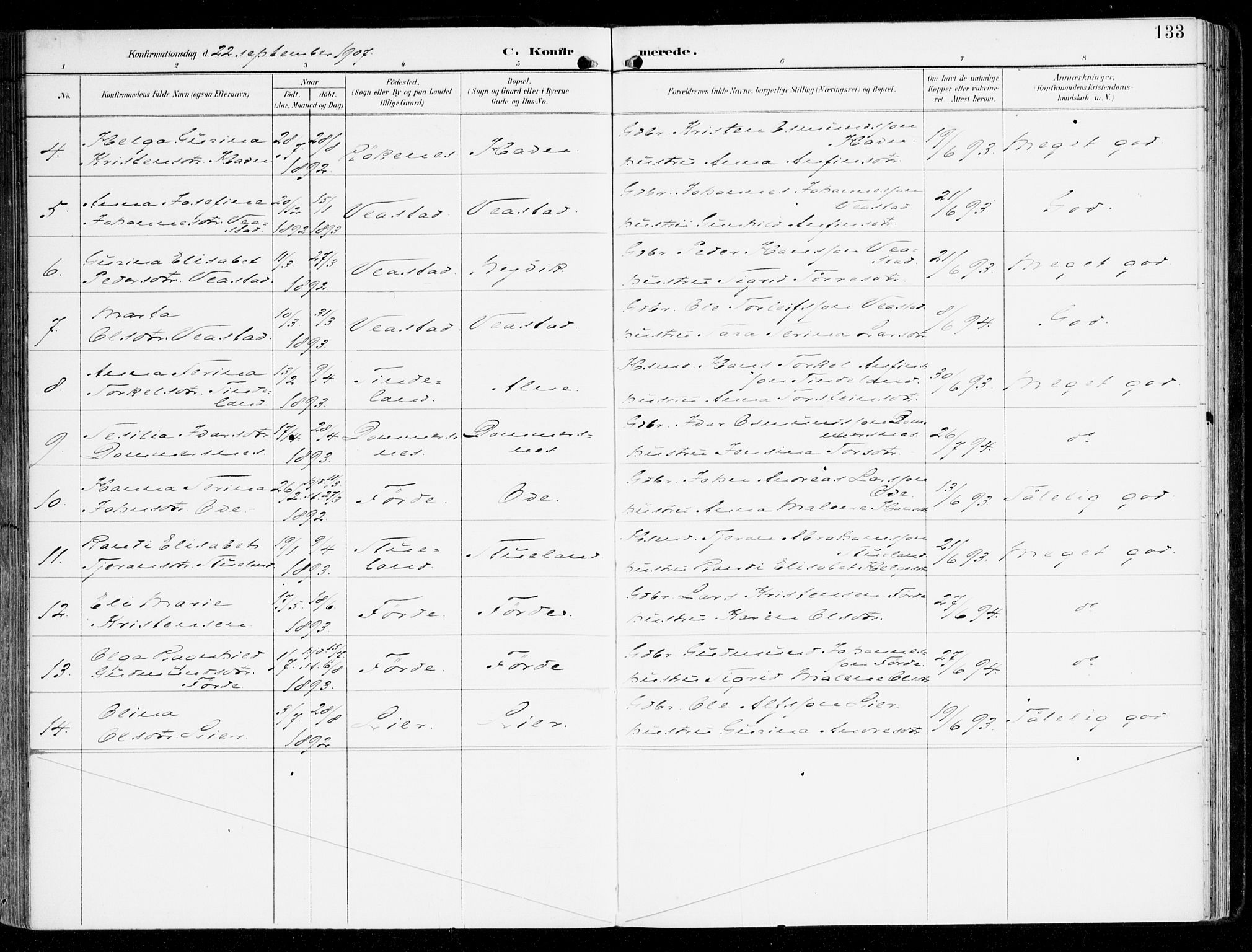 Sveio Sokneprestembete, SAB/A-78501/H/Haa: Parish register (official) no. D 2, 1894-1916, p. 133