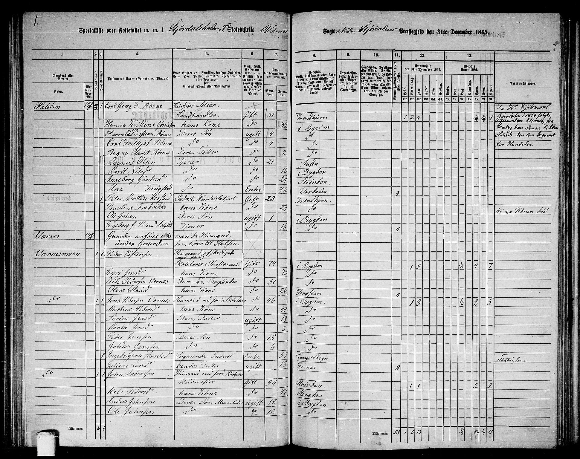 RA, 1865 census for Nedre Stjørdal, 1865, p. 152