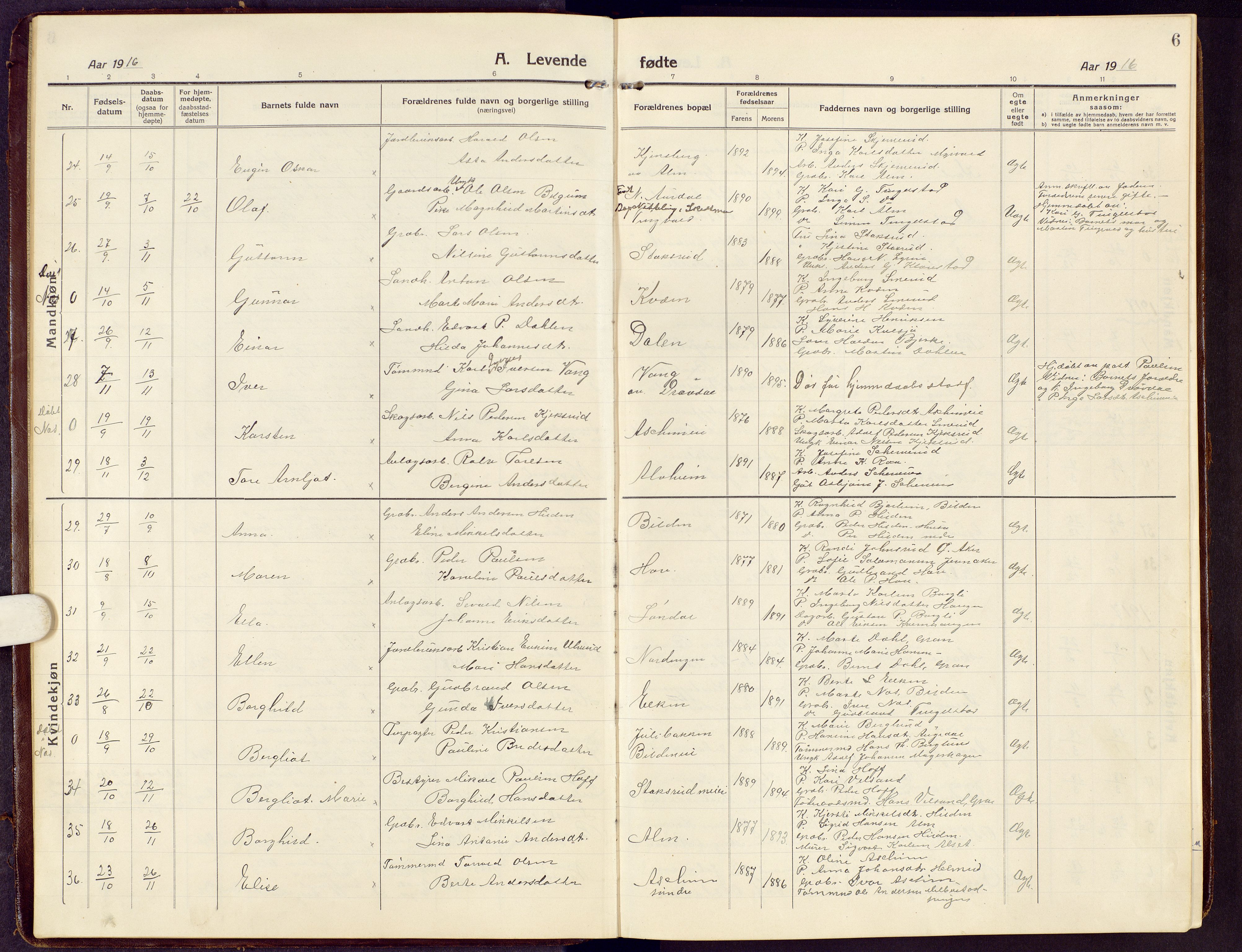Brandbu prestekontor, SAH/PREST-114/H/Ha/Hab/L0010: Parish register (copy) no. 10, 1916-1930, p. 6