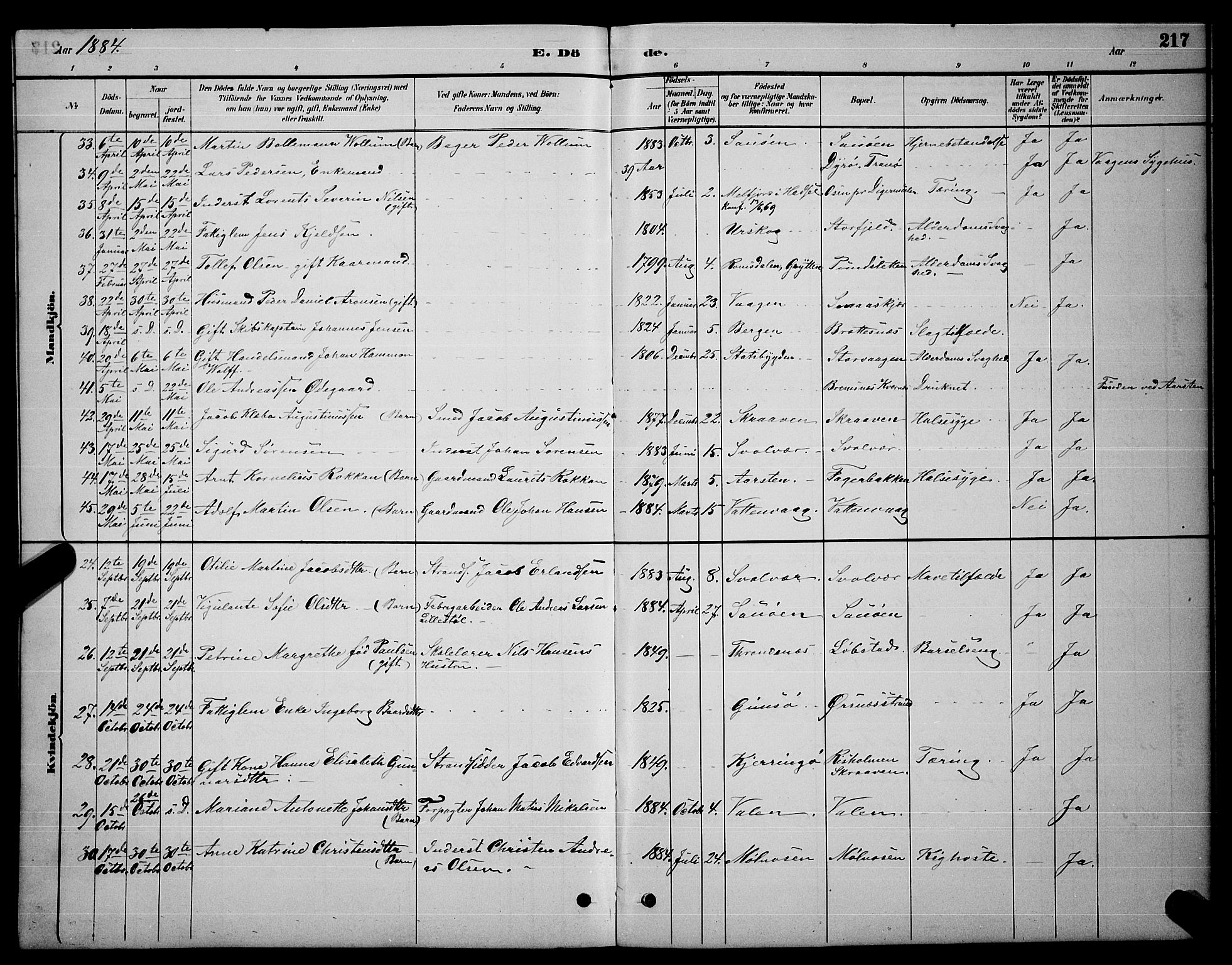 Ministerialprotokoller, klokkerbøker og fødselsregistre - Nordland, AV/SAT-A-1459/874/L1076: Parish register (copy) no. 874C05, 1884-1890, p. 217