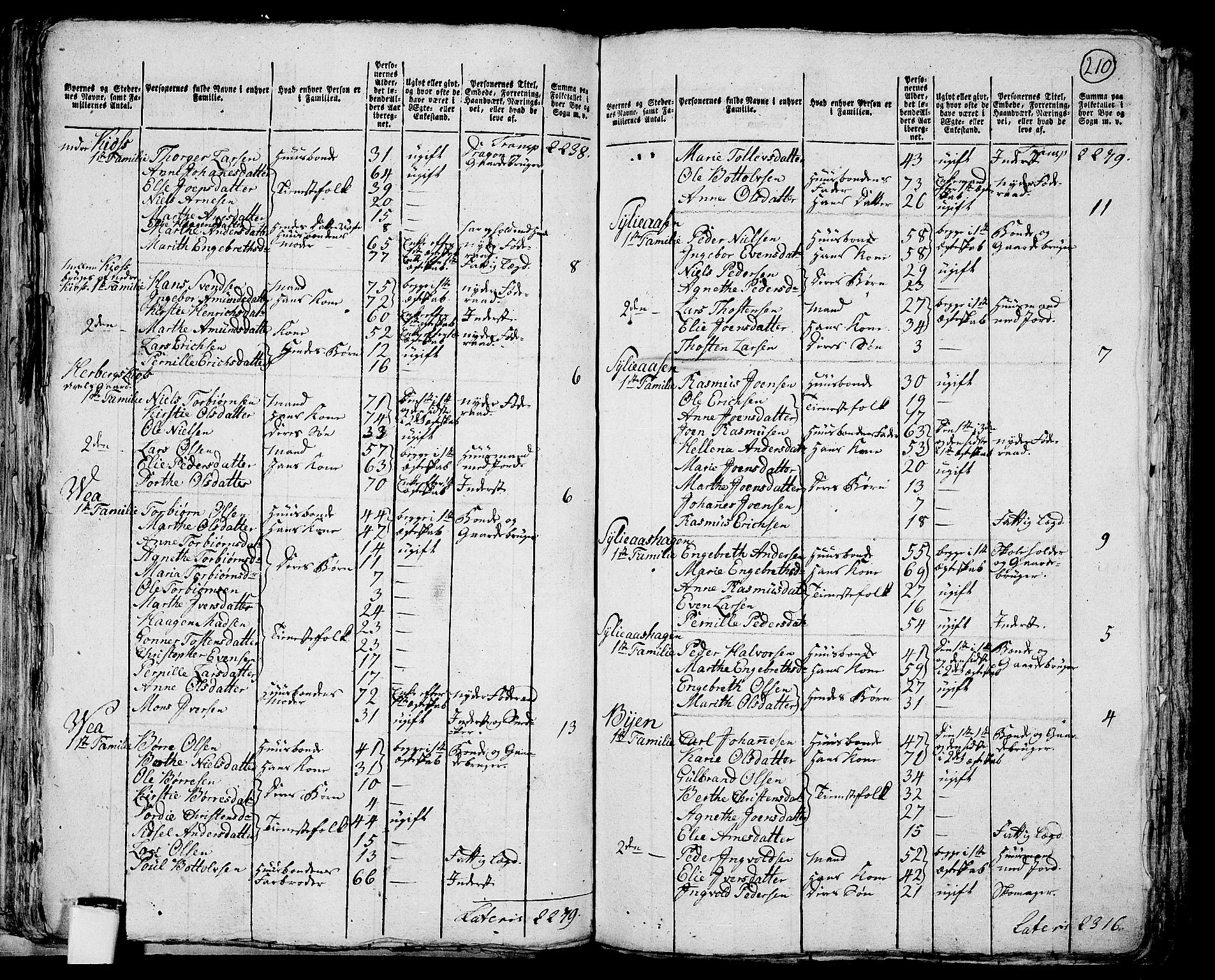 RA, 1801 census for 0412P Ringsaker, 1801, p. 209b-210a