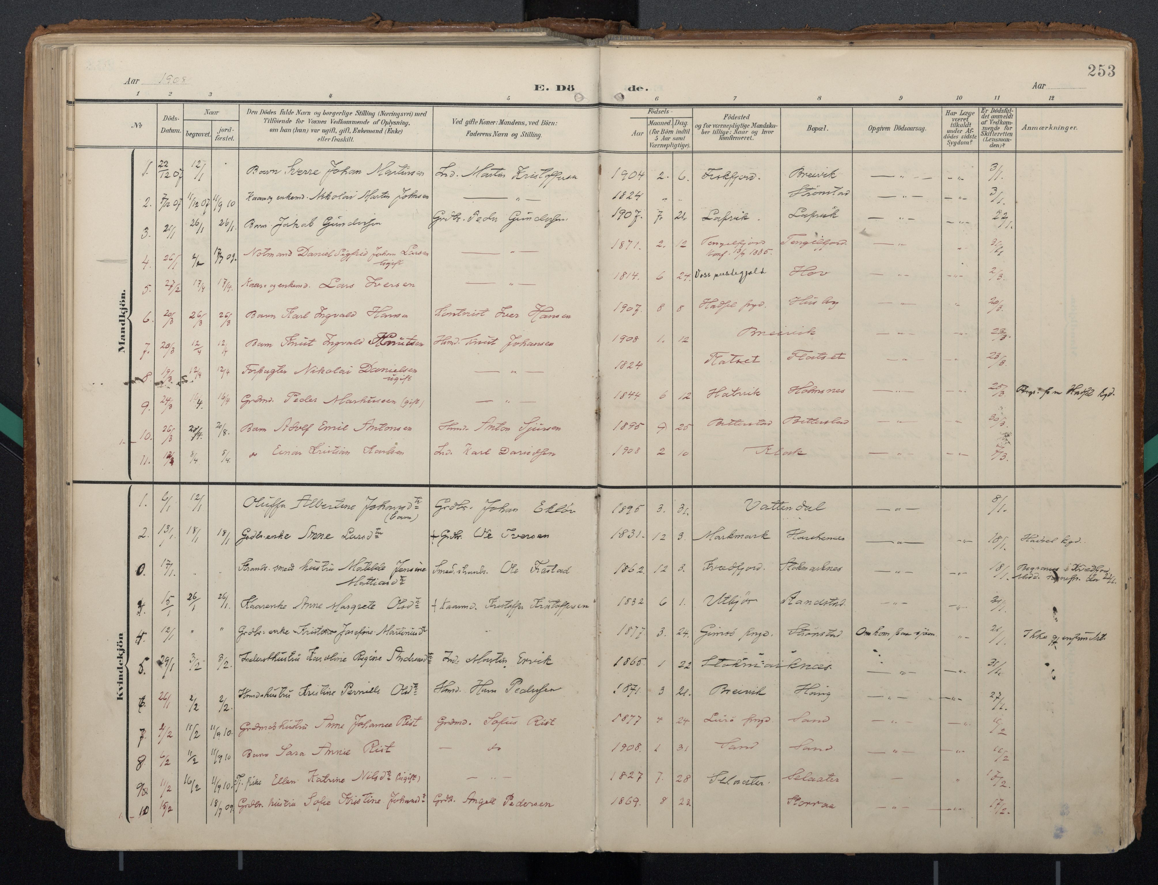 Ministerialprotokoller, klokkerbøker og fødselsregistre - Nordland, AV/SAT-A-1459/888/L1248: Parish register (official) no. 888A14, 1904-1913, p. 253