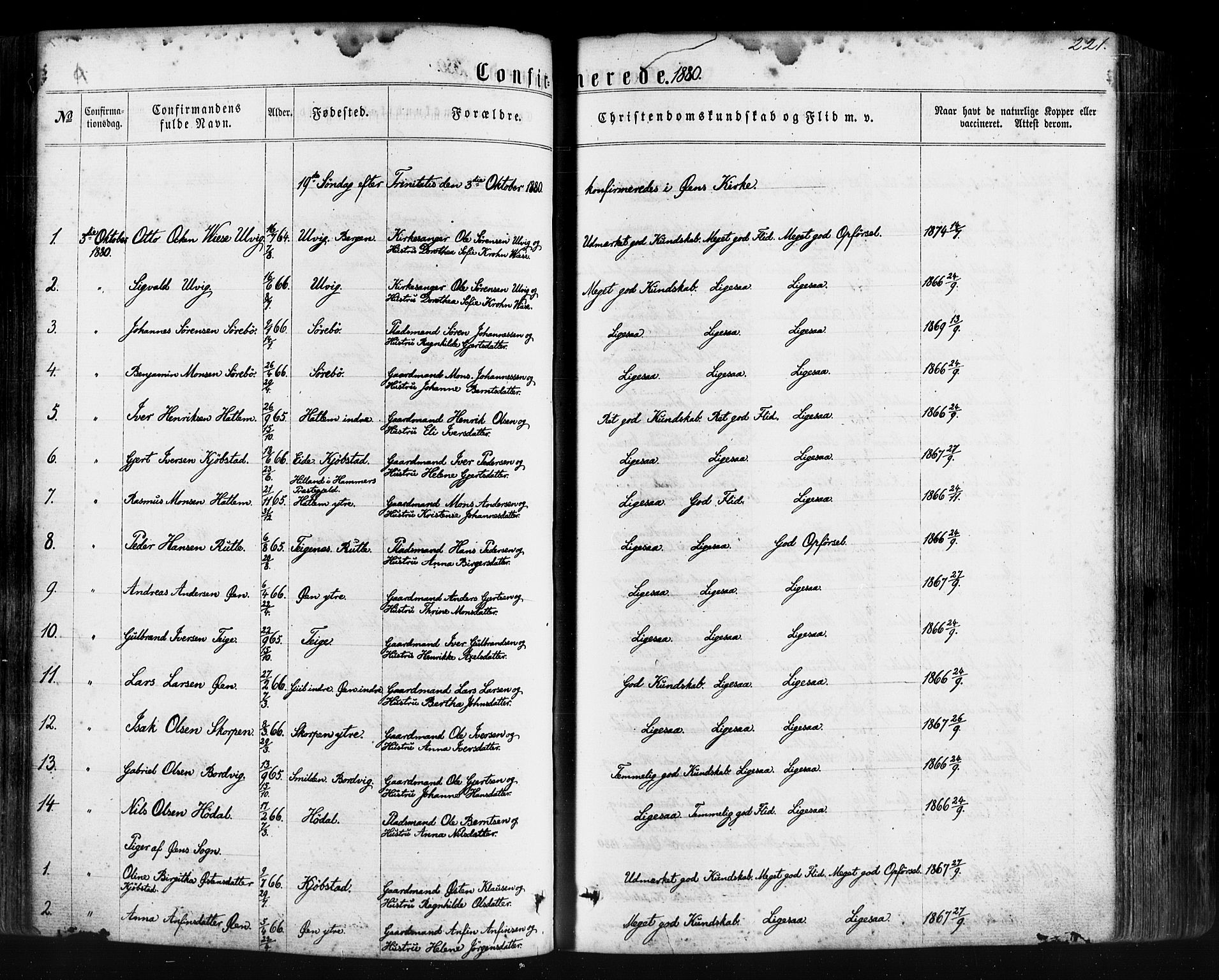 Hyllestad sokneprestembete, SAB/A-80401: Parish register (official) no. A 1, 1861-1886, p. 221