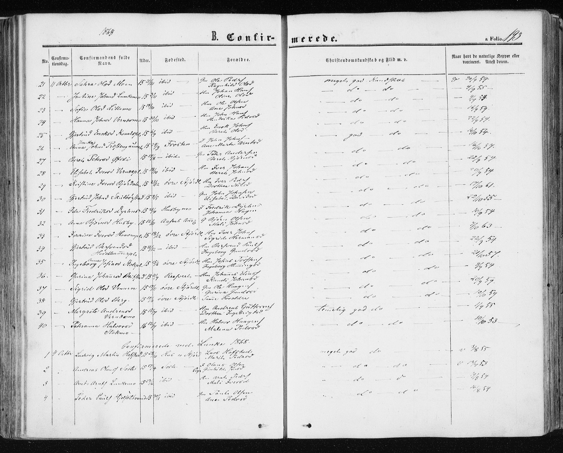 Ministerialprotokoller, klokkerbøker og fødselsregistre - Nord-Trøndelag, AV/SAT-A-1458/709/L0075: Parish register (official) no. 709A15, 1859-1870, p. 193