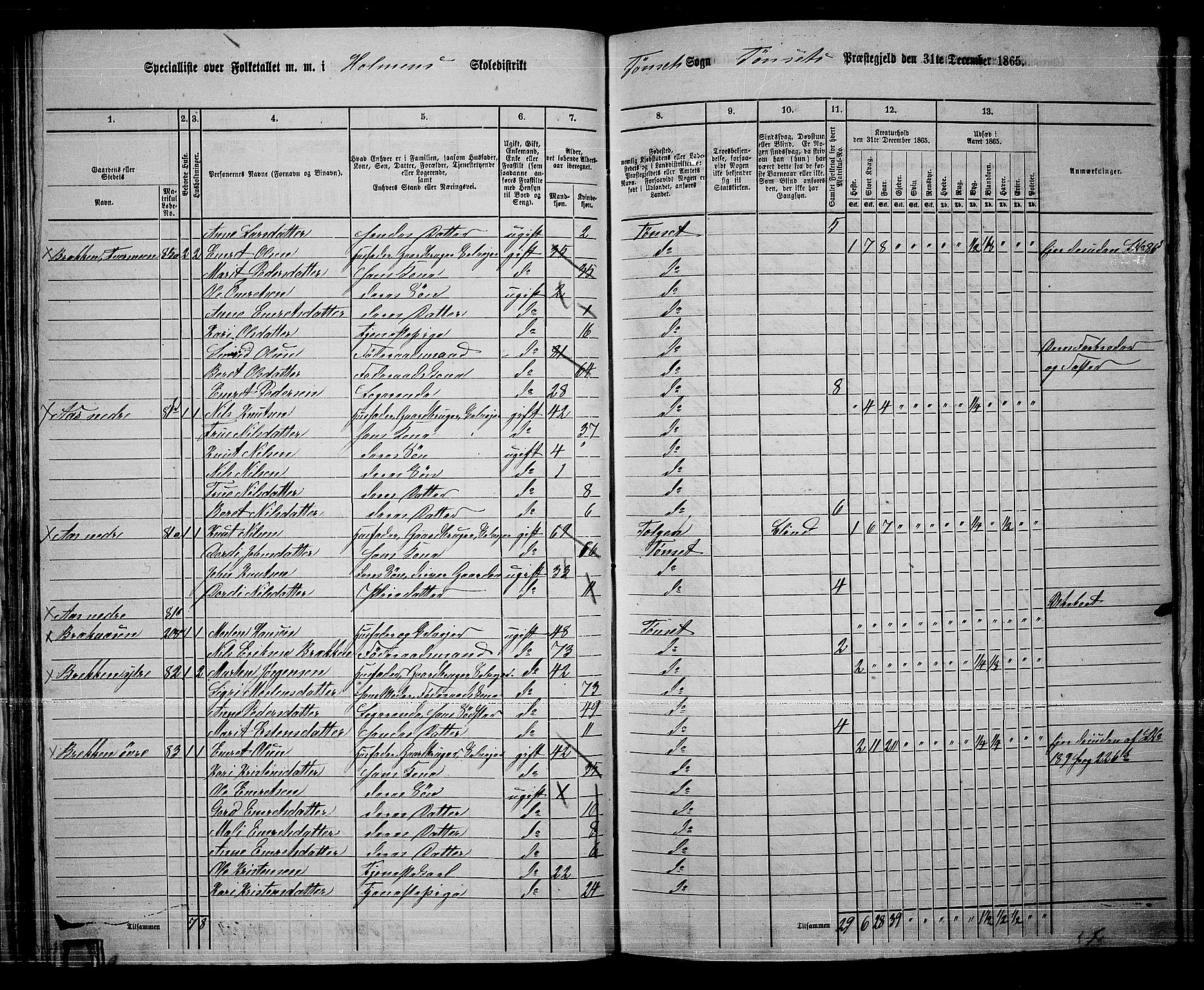 RA, 1865 census for Tynset, 1865, p. 47