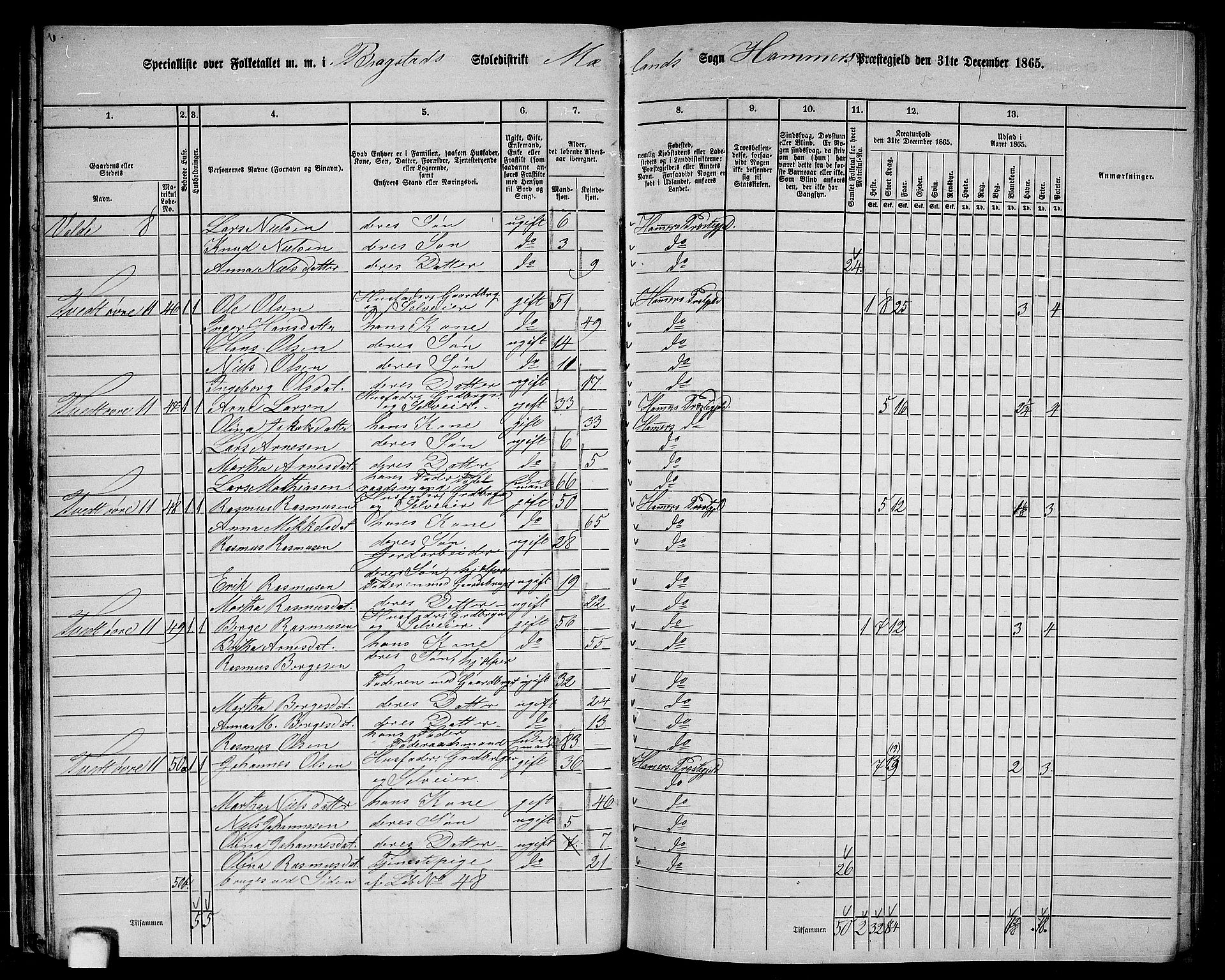 RA, 1865 census for Hamre, 1865, p. 30