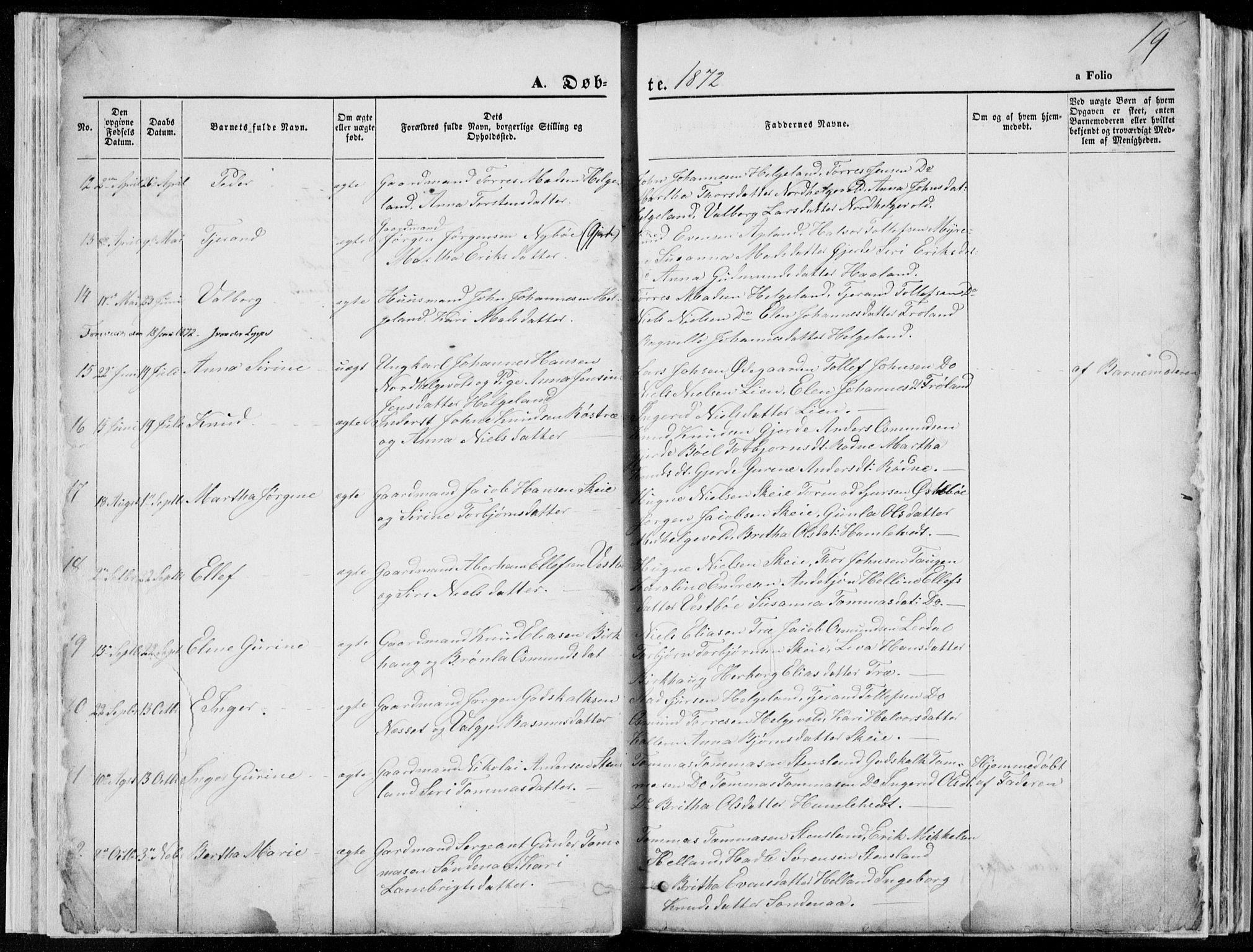 Vikedal sokneprestkontor, SAST/A-101840/01/V: Parish register (copy) no. B 10, 1864-1926, p. 19