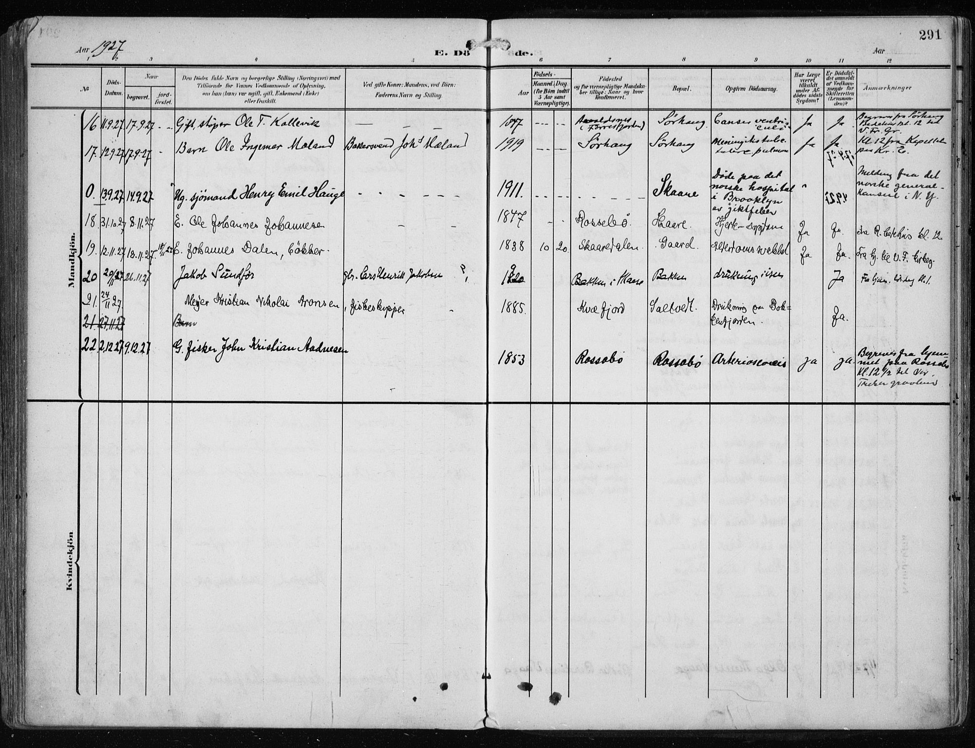 Haugesund sokneprestkontor, AV/SAST-A -101863/H/Ha/Haa/L0010: Parish register (official) no. A 10, 1909-1935, p. 291