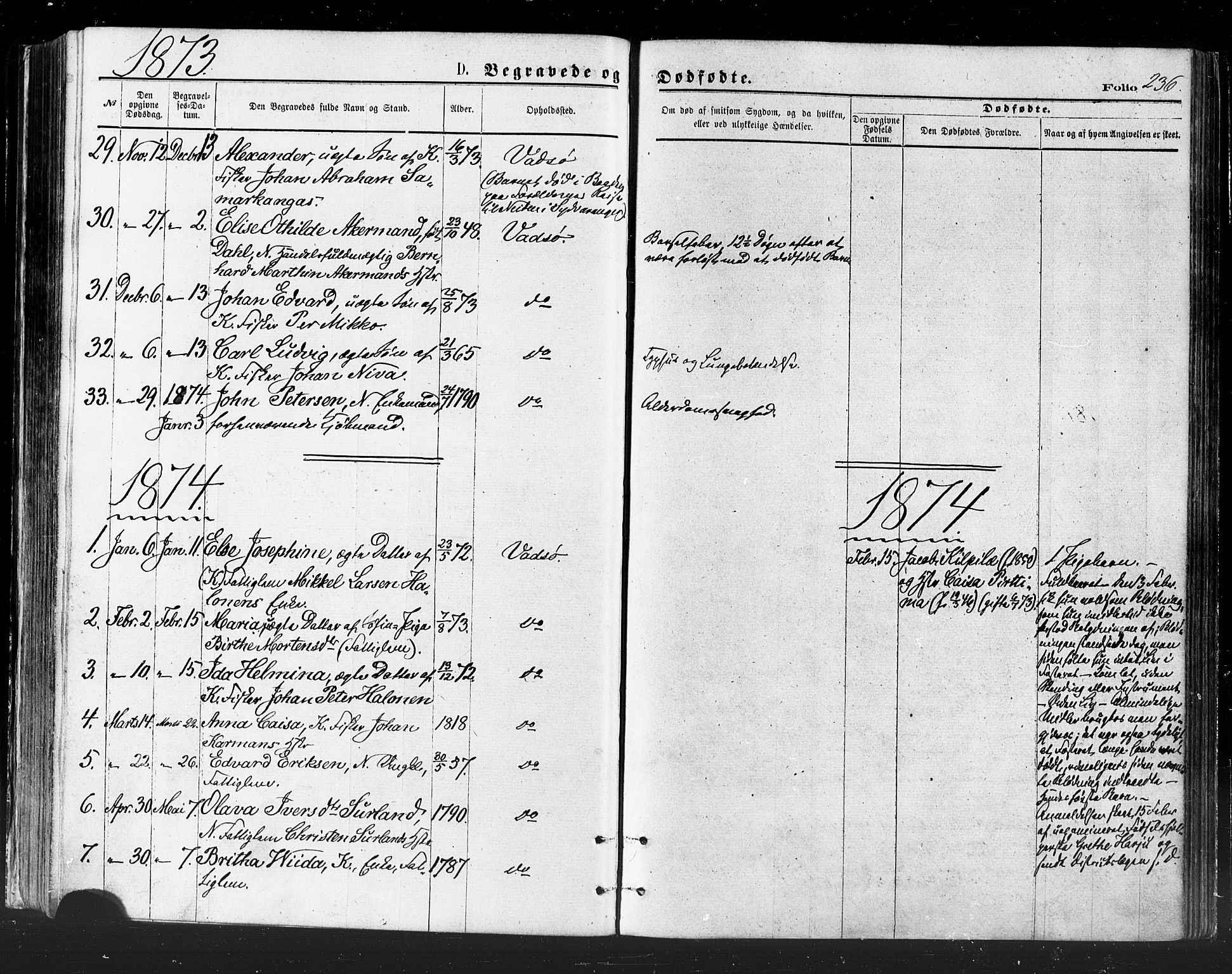 Vadsø sokneprestkontor, SATØ/S-1325/H/Ha/L0005kirke: Parish register (official) no. 5, 1873-1884, p. 236