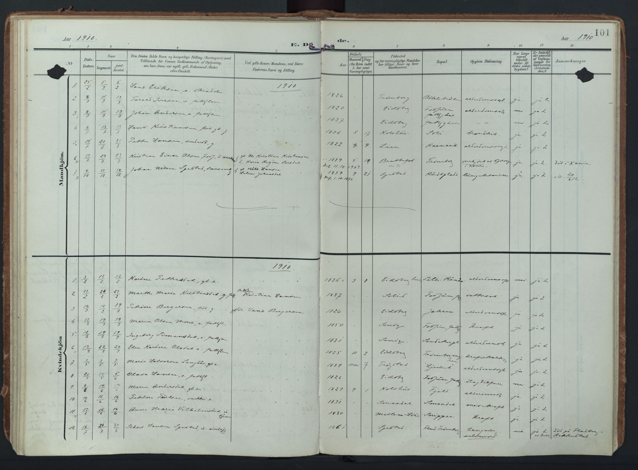 Eidsberg prestekontor Kirkebøker, AV/SAO-A-10905/F/Fc/L0002: Parish register (official) no. III 2, 1906-1934, p. 101