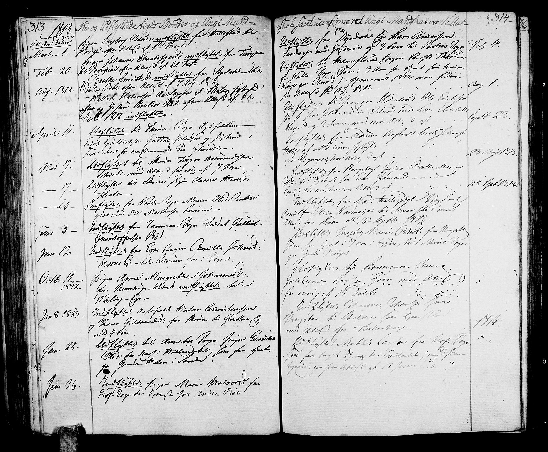 Sande Kirkebøker, SAKO/A-53/F/Fa/L0002: Parish register (official) no. 2, 1804-1814, p. 313-314