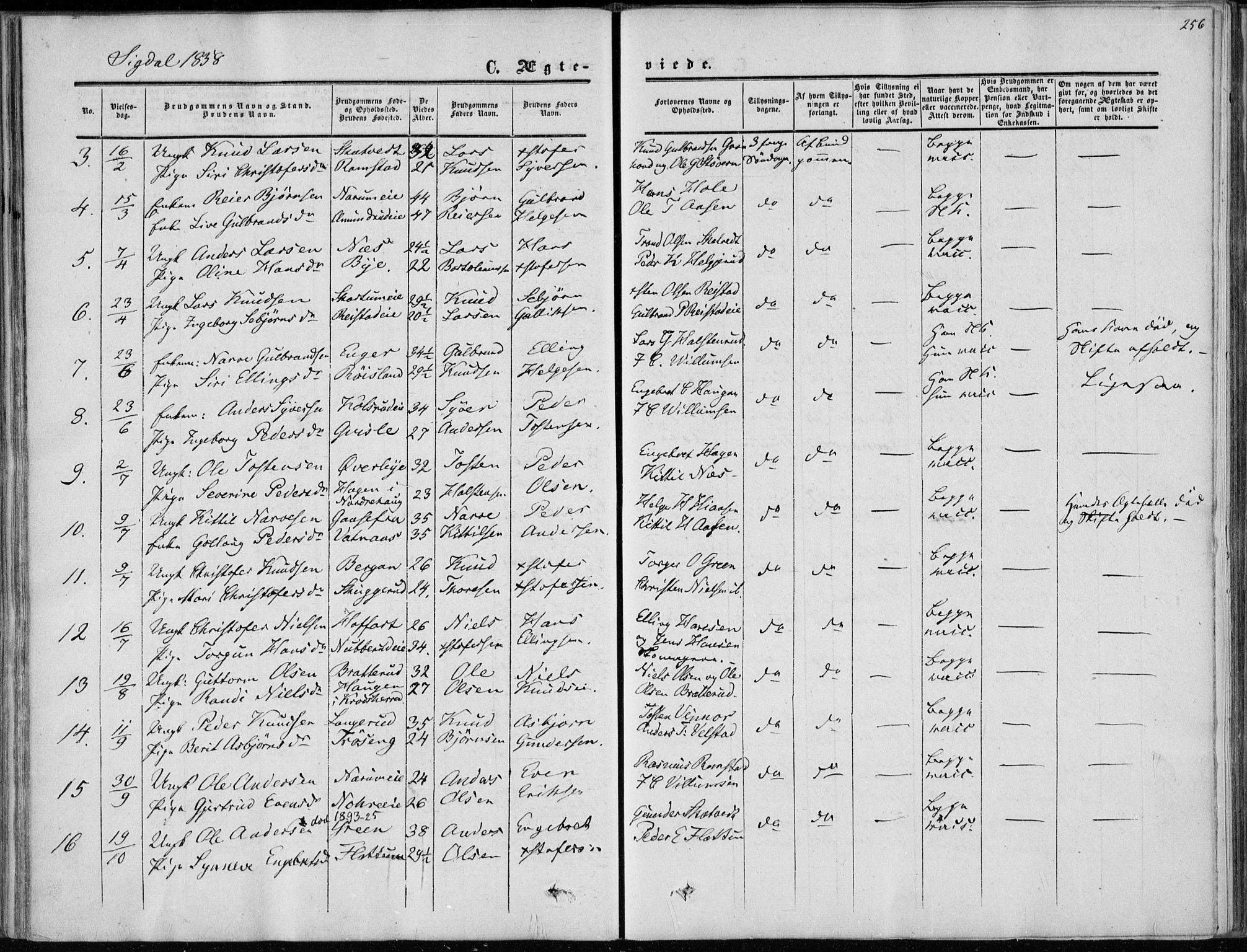 Sigdal kirkebøker, SAKO/A-245/F/Fa/L0008: Parish register (official) no. I 8, 1850-1859, p. 256