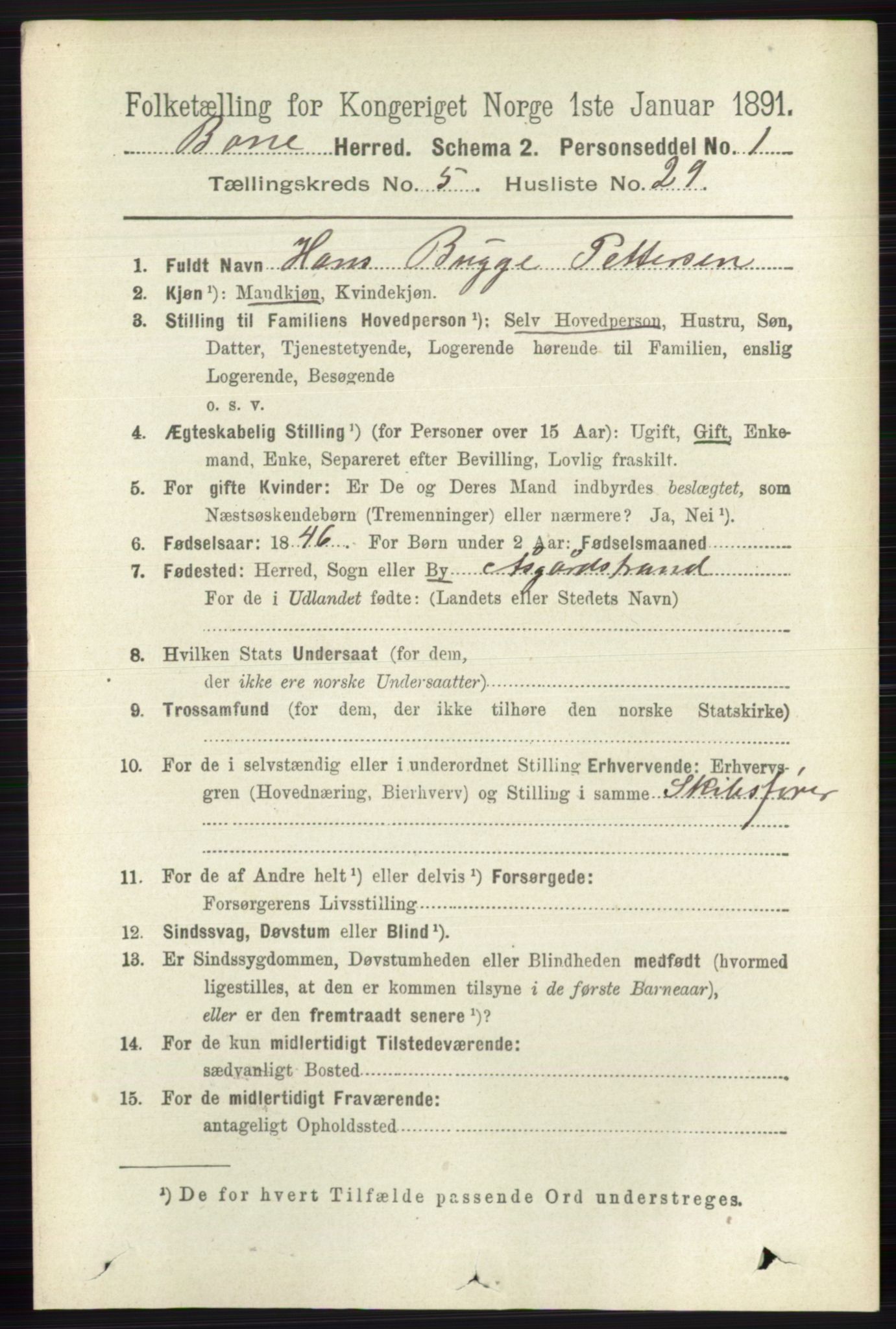 RA, 1891 census for 0717 Borre, 1891, p. 2194