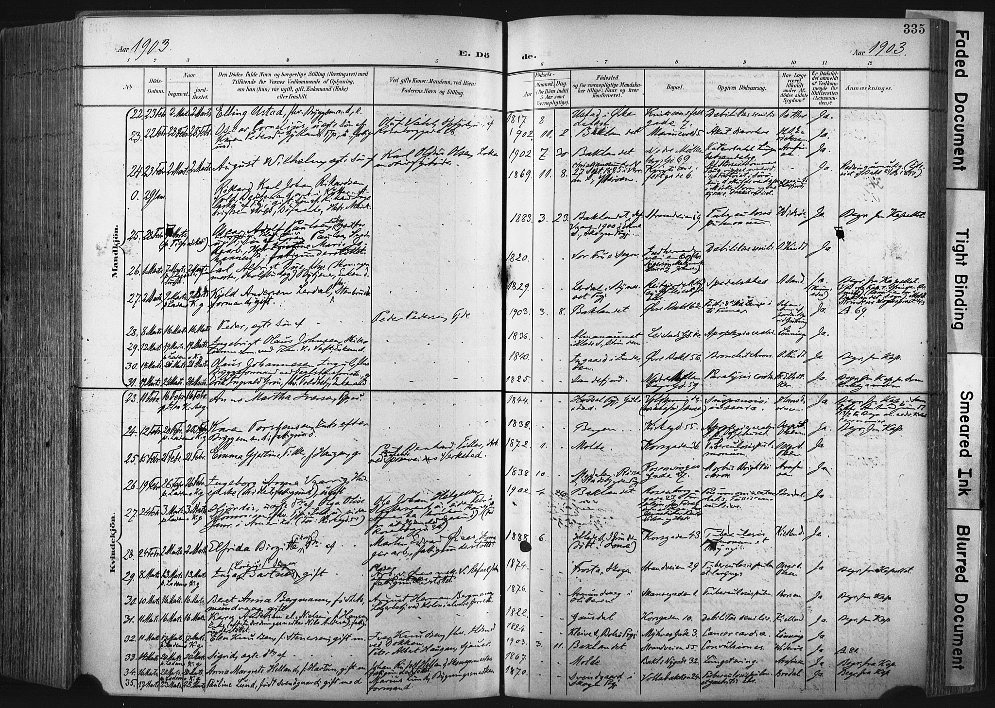 Ministerialprotokoller, klokkerbøker og fødselsregistre - Sør-Trøndelag, AV/SAT-A-1456/604/L0201: Parish register (official) no. 604A21, 1901-1911, p. 335