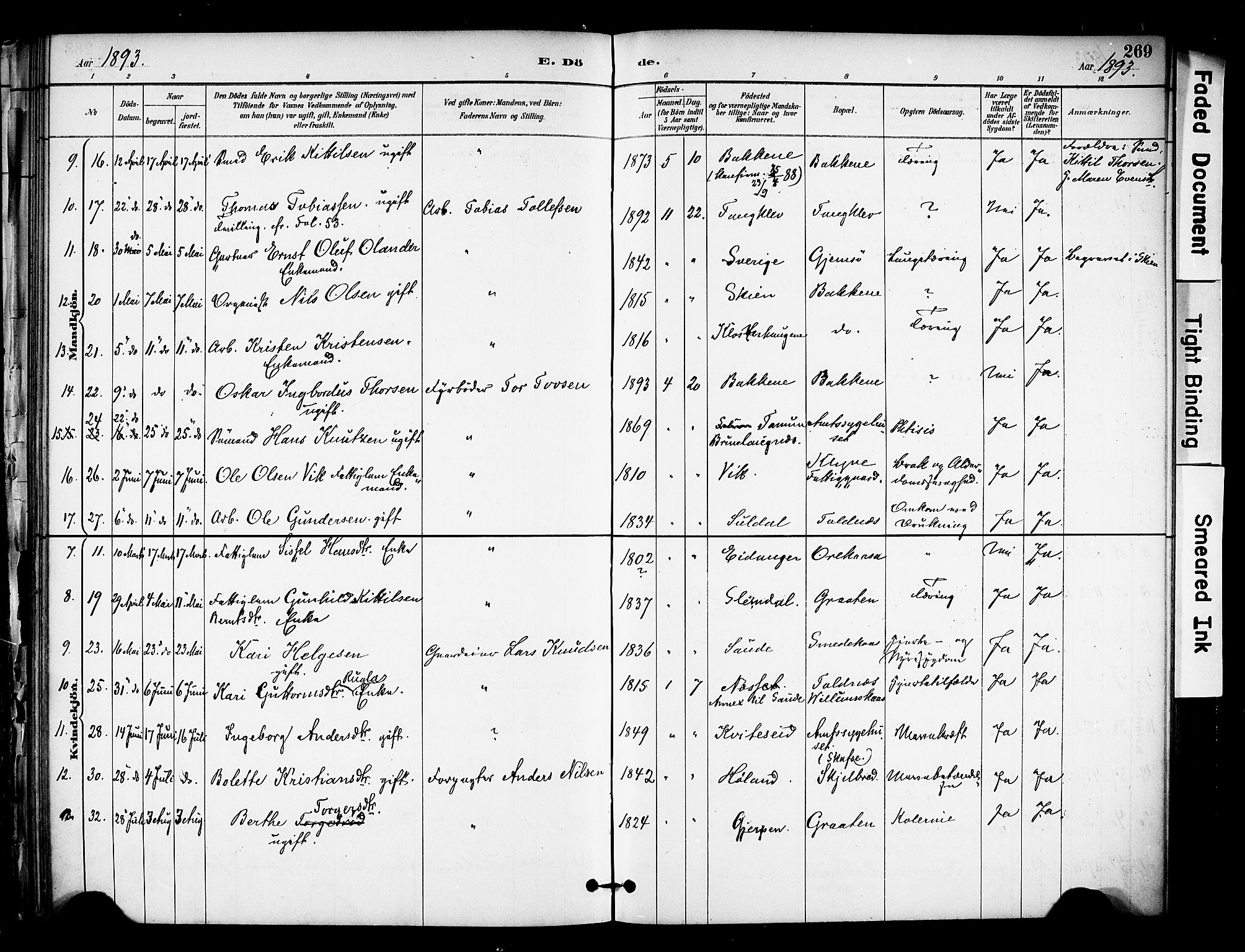 Solum kirkebøker, SAKO/A-306/F/Fa/L0010: Parish register (official) no. I 10, 1888-1898, p. 269
