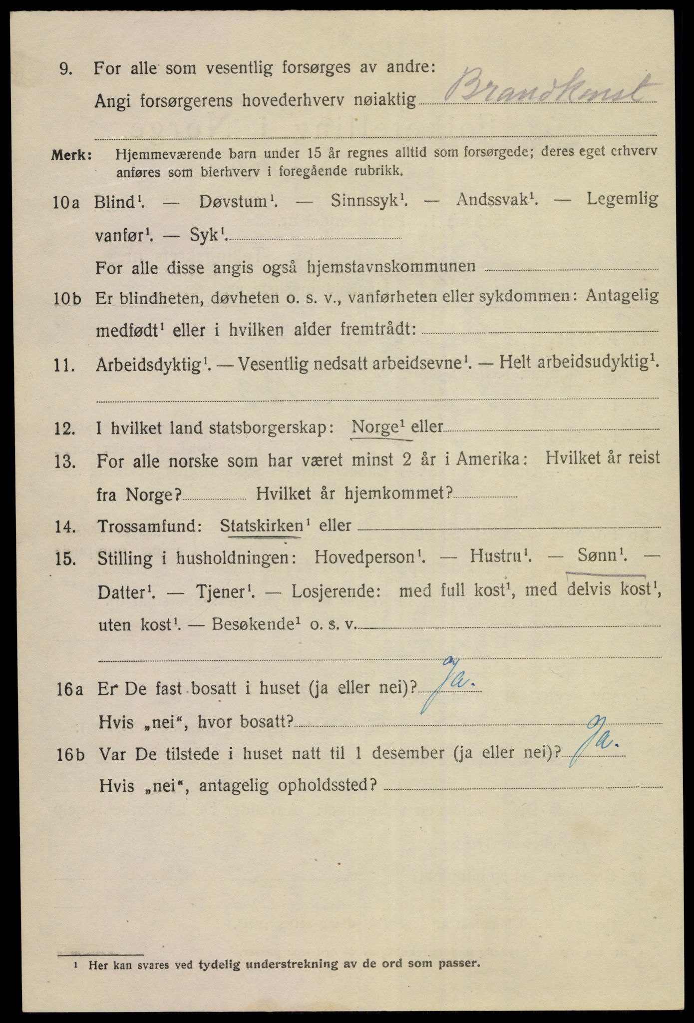 SAKO, 1920 census for Kongsberg, 1920, p. 11129