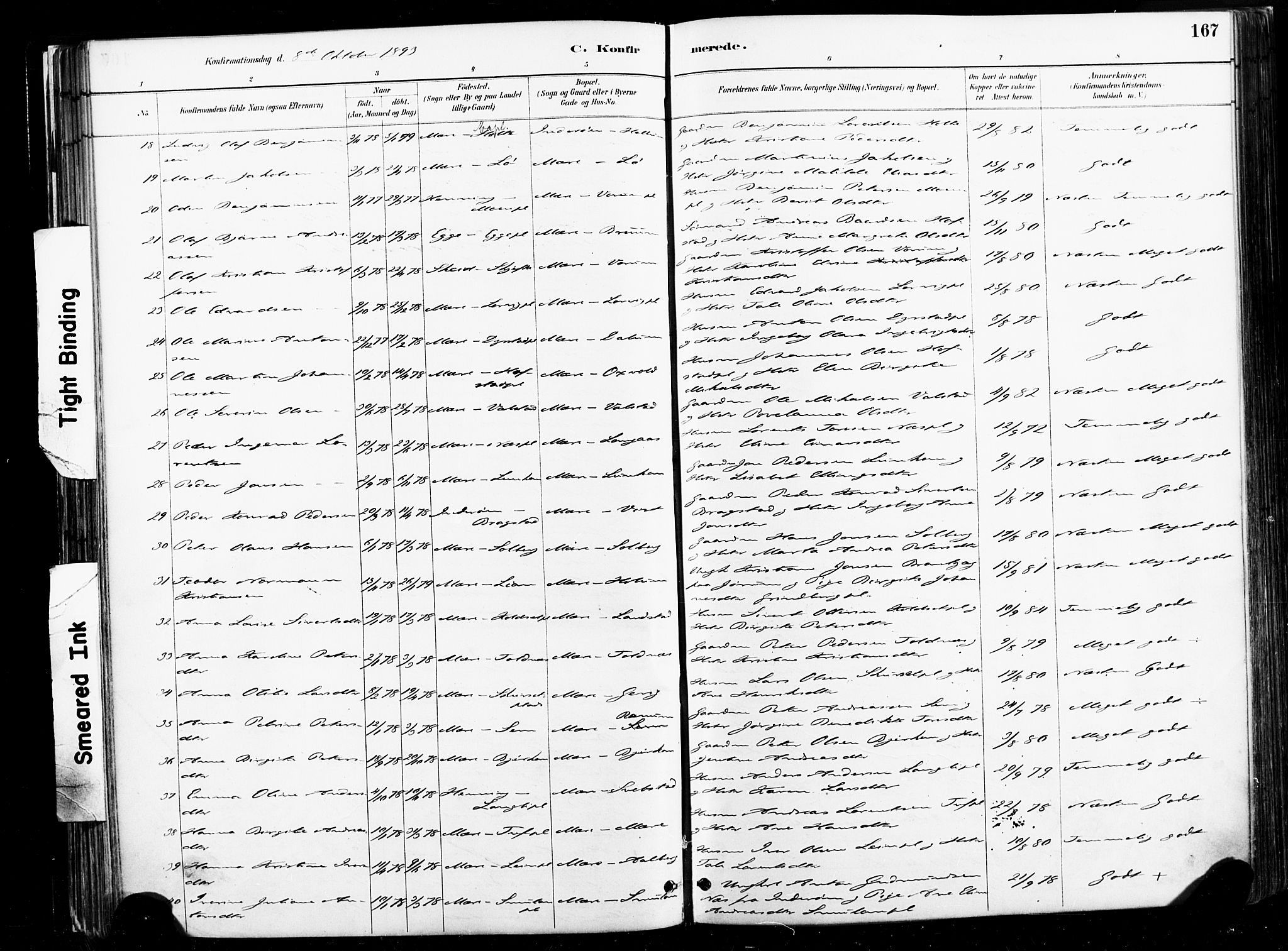 Ministerialprotokoller, klokkerbøker og fødselsregistre - Nord-Trøndelag, AV/SAT-A-1458/735/L0351: Parish register (official) no. 735A10, 1884-1908, p. 167