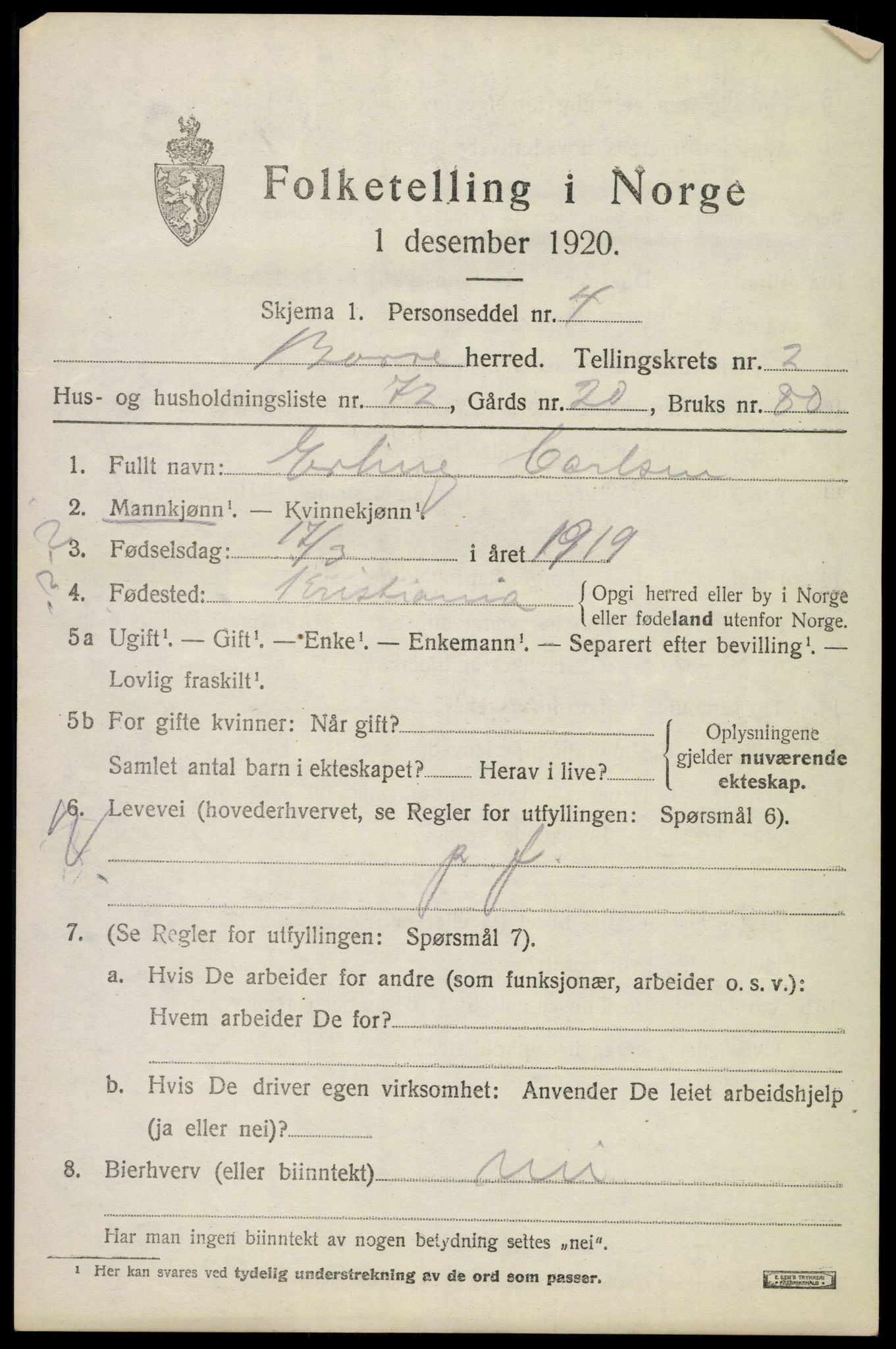 SAKO, 1920 census for Borre, 1920, p. 4994