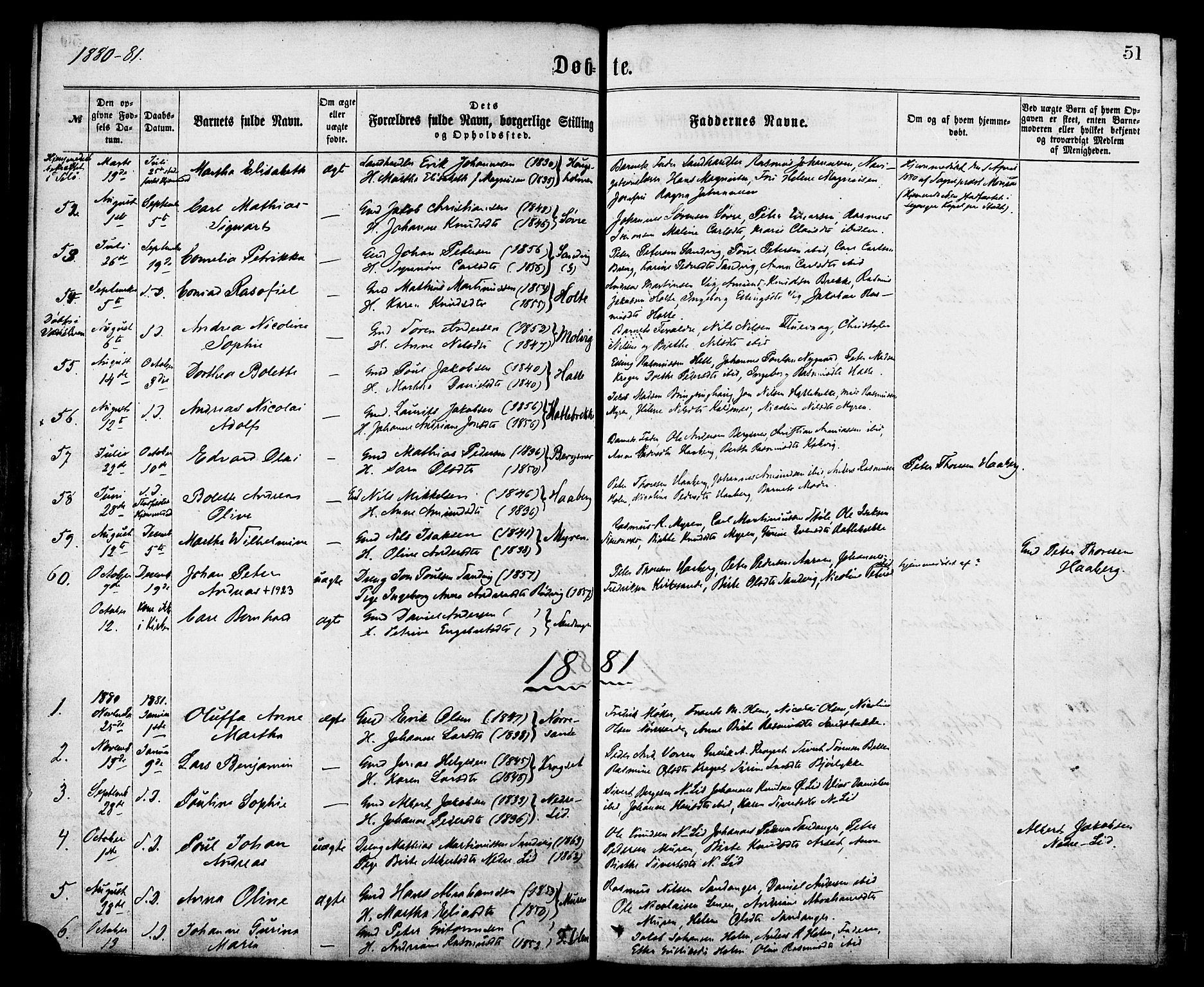 Ministerialprotokoller, klokkerbøker og fødselsregistre - Møre og Romsdal, AV/SAT-A-1454/503/L0035: Parish register (official) no. 503A03, 1865-1884, p. 51