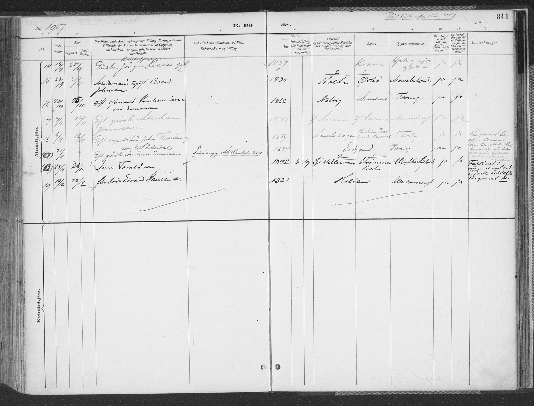 Høvåg sokneprestkontor, AV/SAK-1111-0025/F/Fa/L0006: Parish register (official) no. A 6, 1894-1923, p. 341