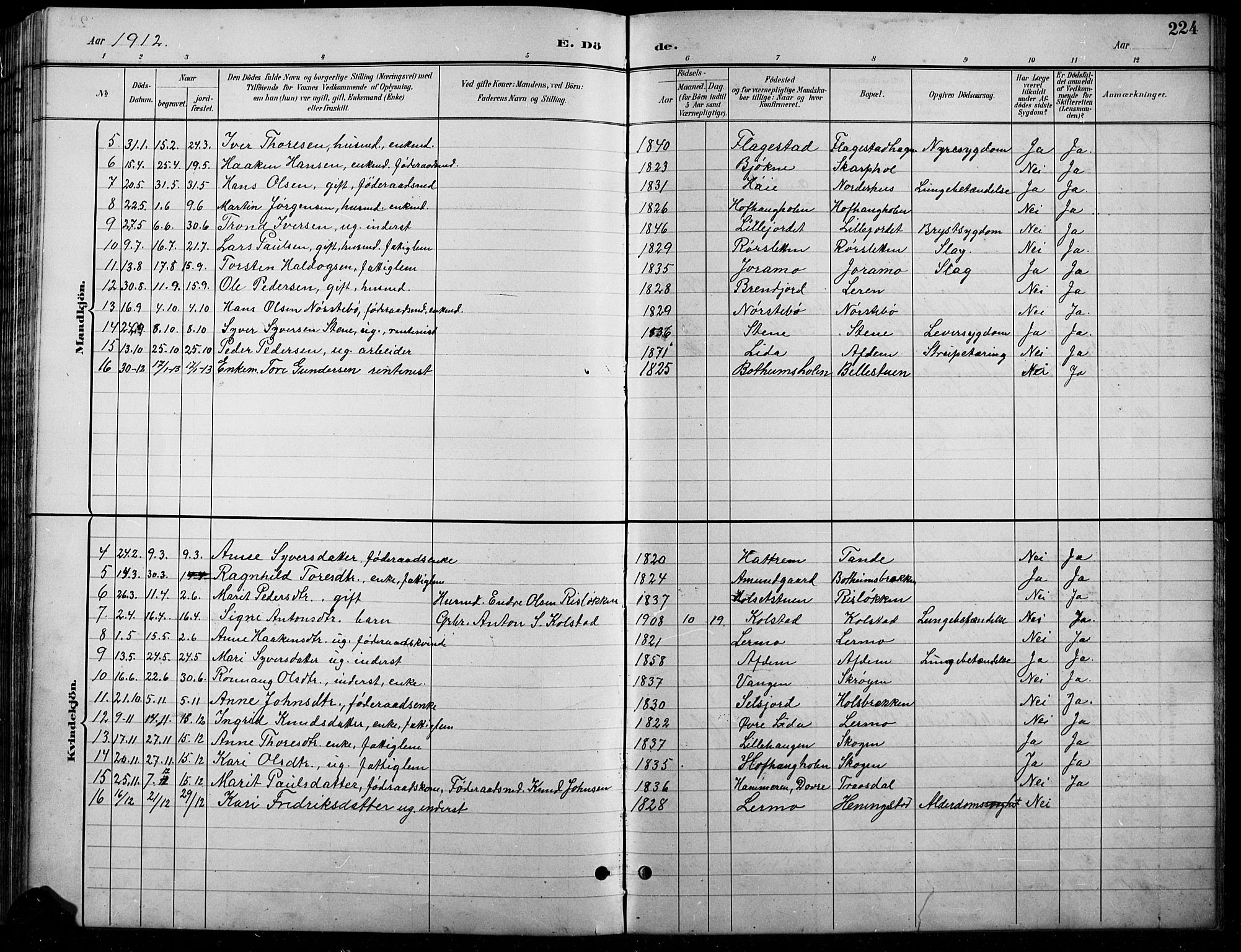 Lesja prestekontor, SAH/PREST-068/H/Ha/Hab/L0007: Parish register (copy) no. 7, 1895-1919, p. 224
