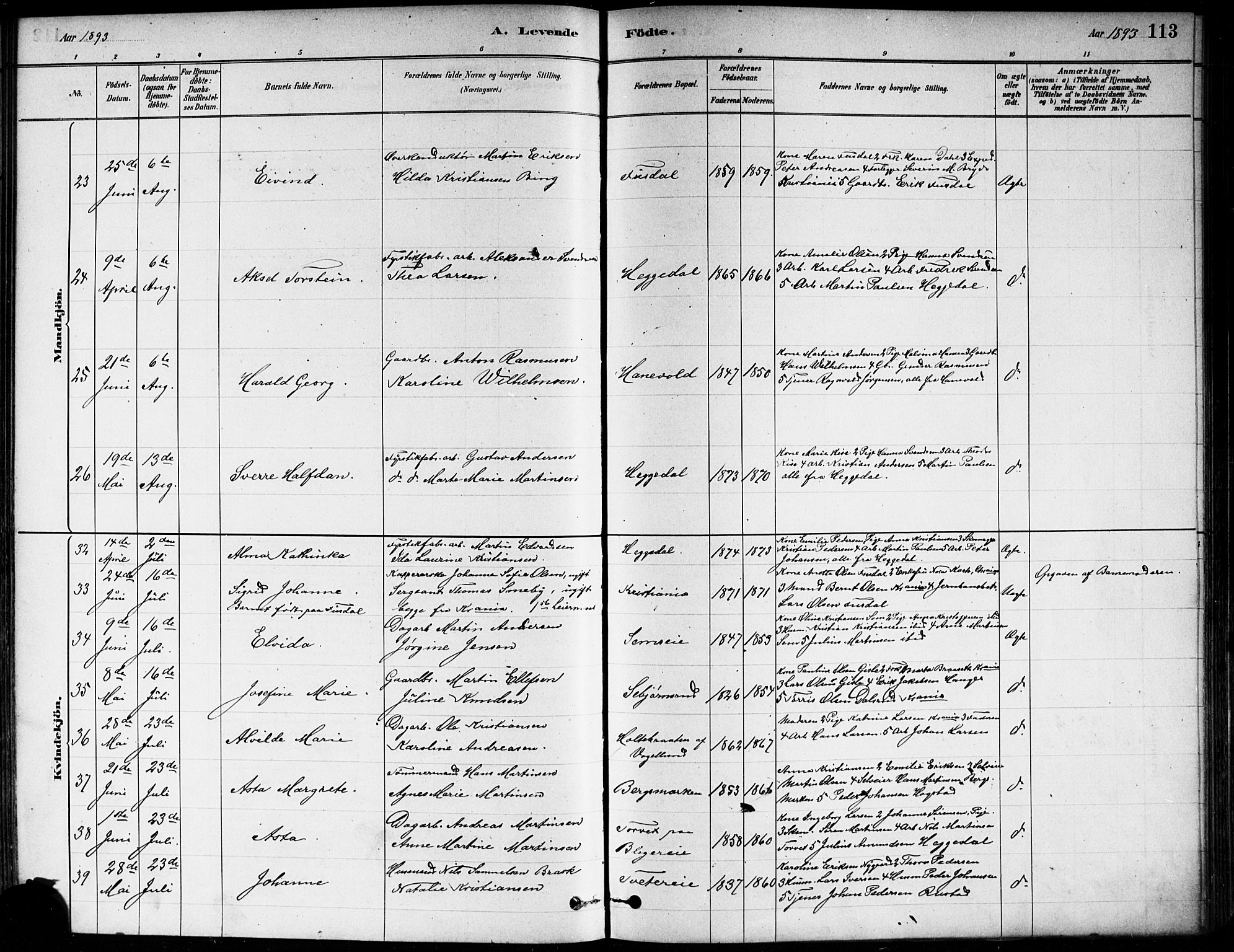 Asker prestekontor Kirkebøker, AV/SAO-A-10256a/F/Fa/L0013: Parish register (official) no. I 13, 1879-1896, p. 113