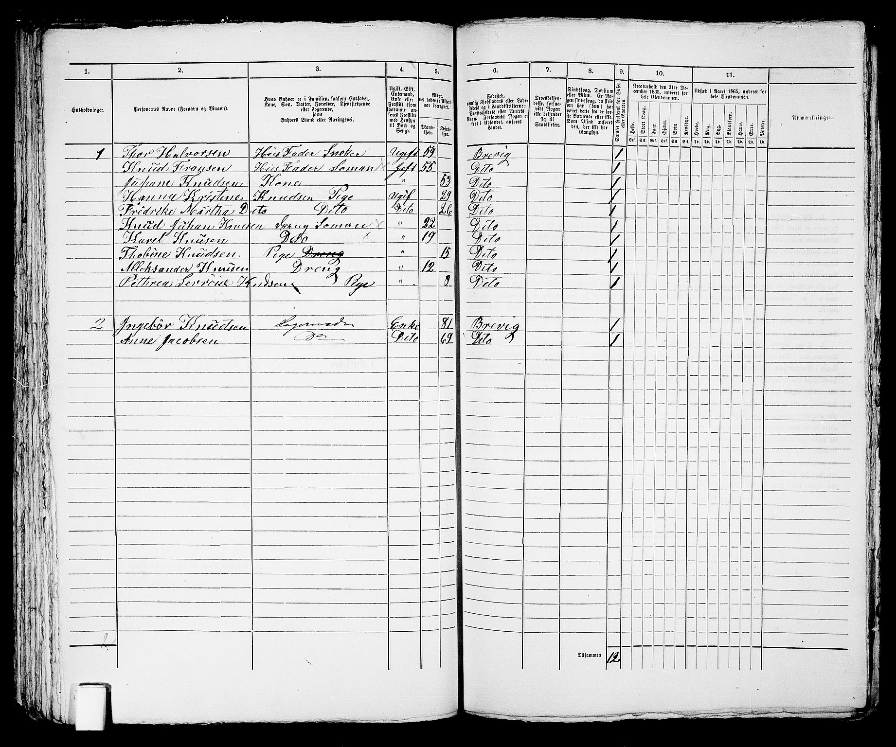 RA, 1865 census for Brevik, 1865, p. 123