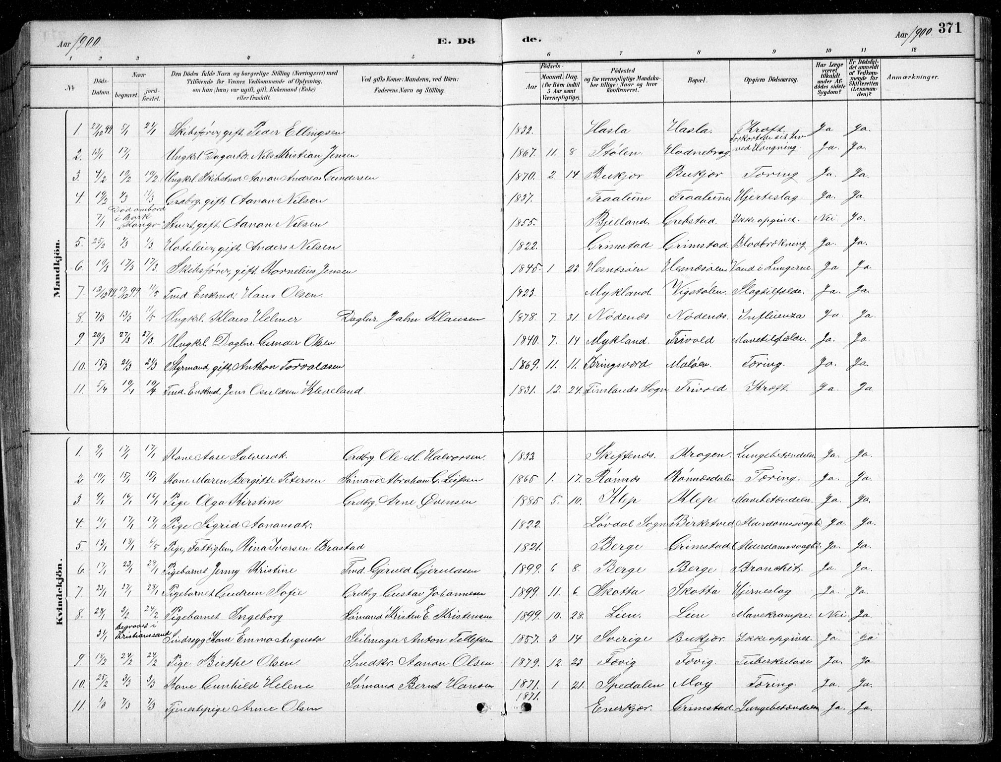 Fjære sokneprestkontor, SAK/1111-0011/F/Fb/L0011: Parish register (copy) no. B 11, 1881-1905, p. 371