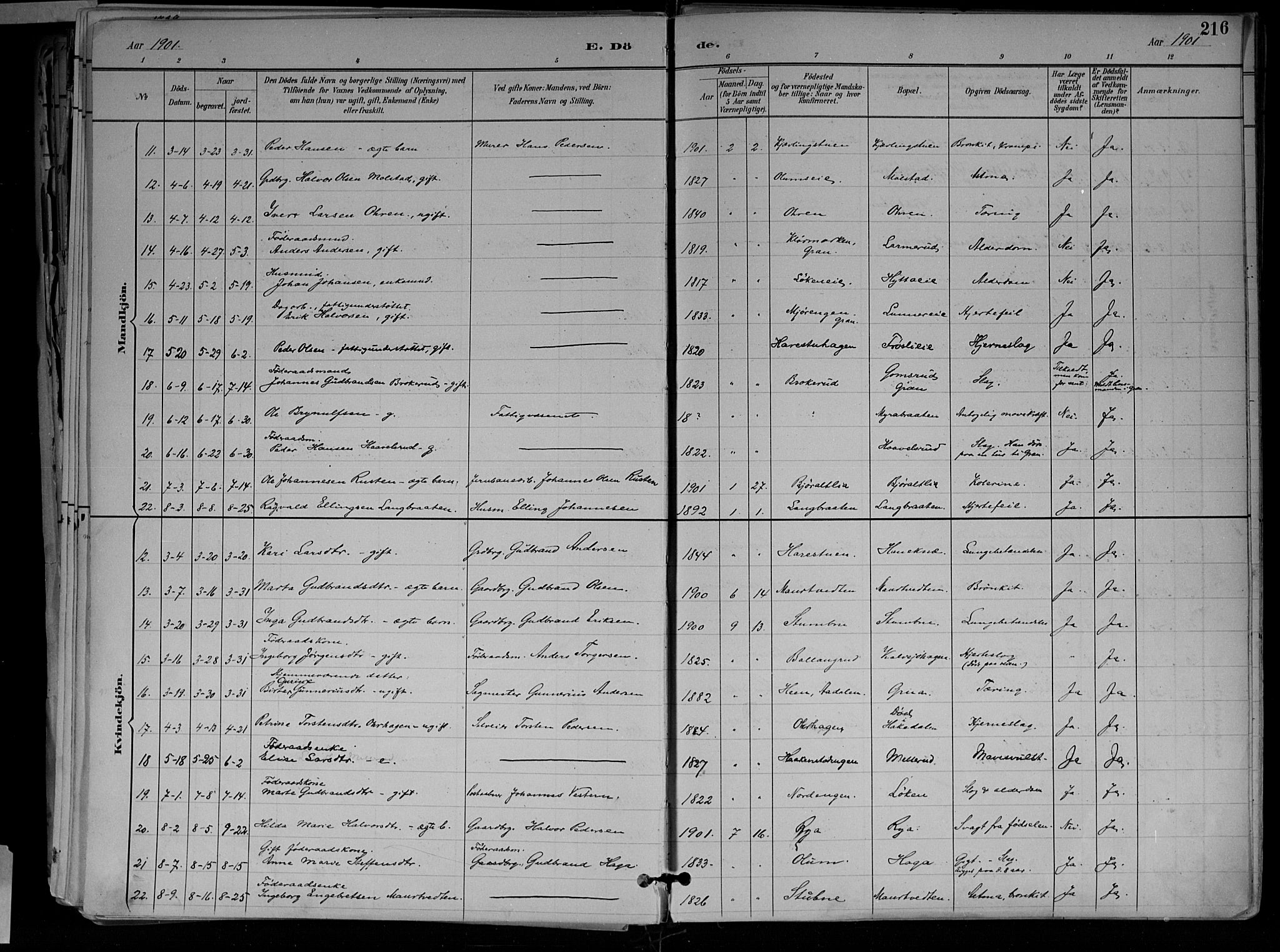 Jevnaker prestekontor, SAH/PREST-116/H/Ha/Haa/L0010: Parish register (official) no. 10, 1891-1906, p. 216