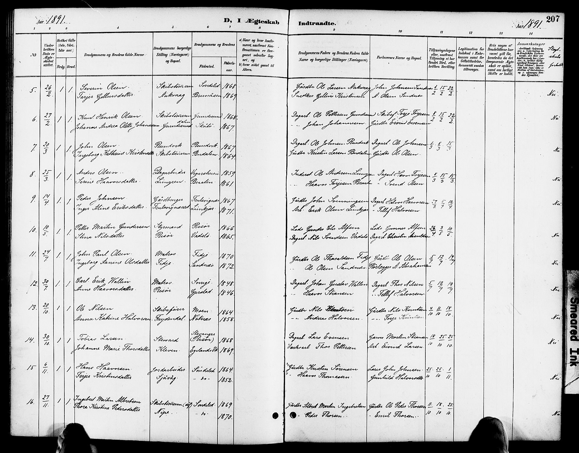 Søndeled sokneprestkontor, AV/SAK-1111-0038/F/Fa/L0005: Parish register (official) no. A 5, 1889-1899, p. 207