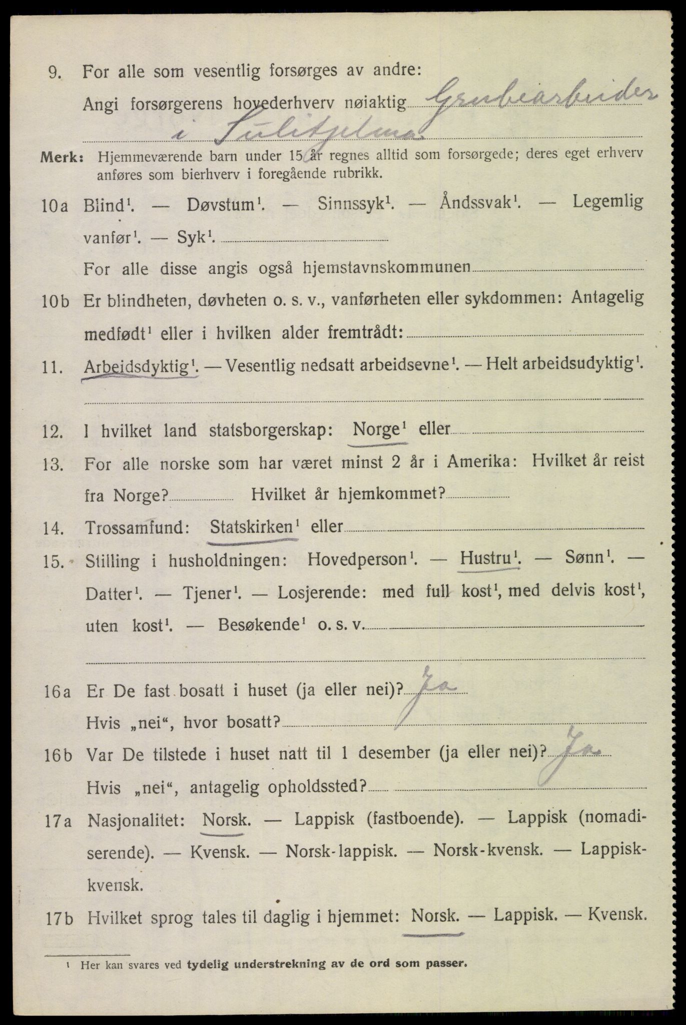 SAT, 1920 census for Skjerstad, 1920, p. 4206