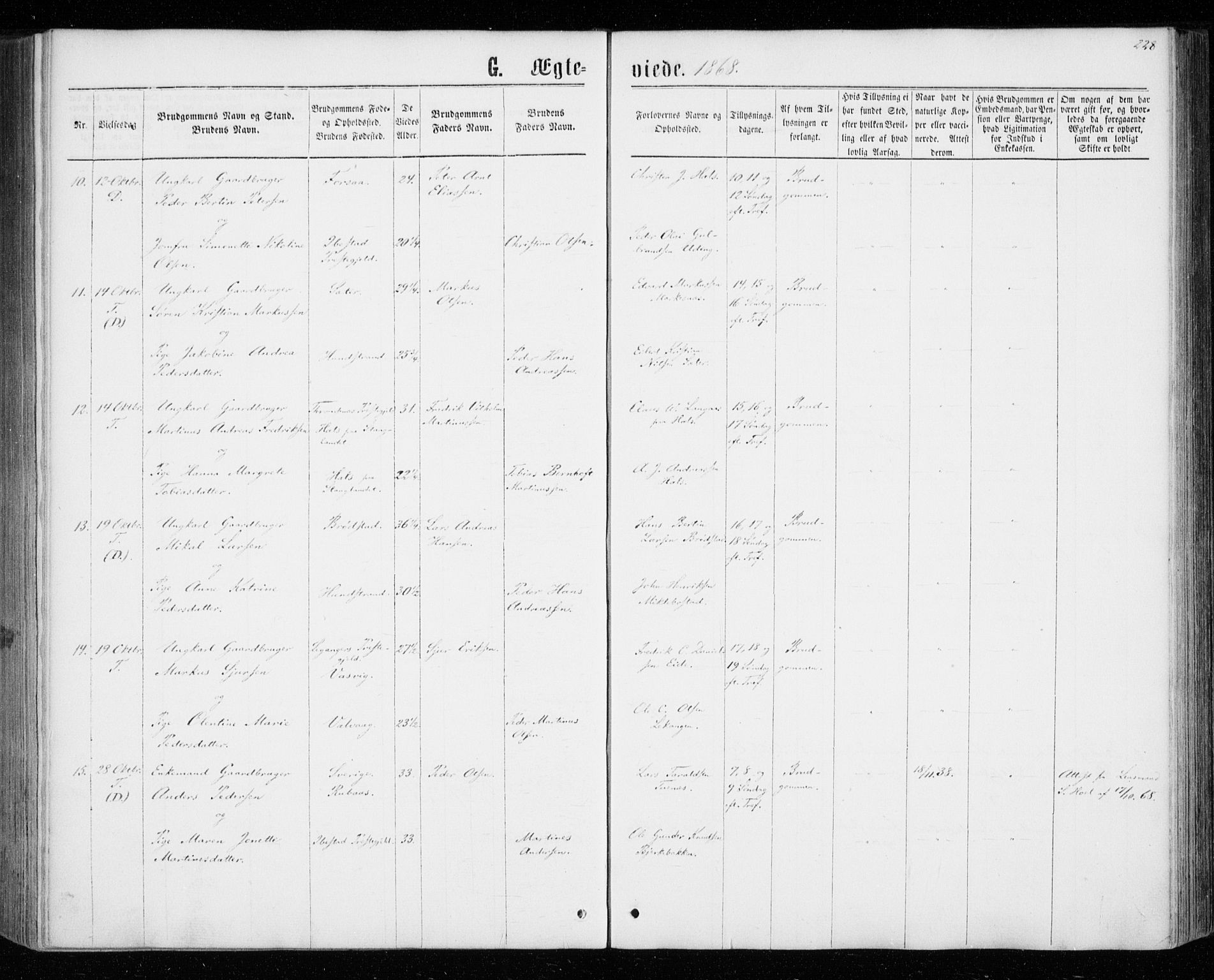 Tranøy sokneprestkontor, SATØ/S-1313/I/Ia/Iaa/L0008kirke: Parish register (official) no. 8, 1867-1877, p. 228