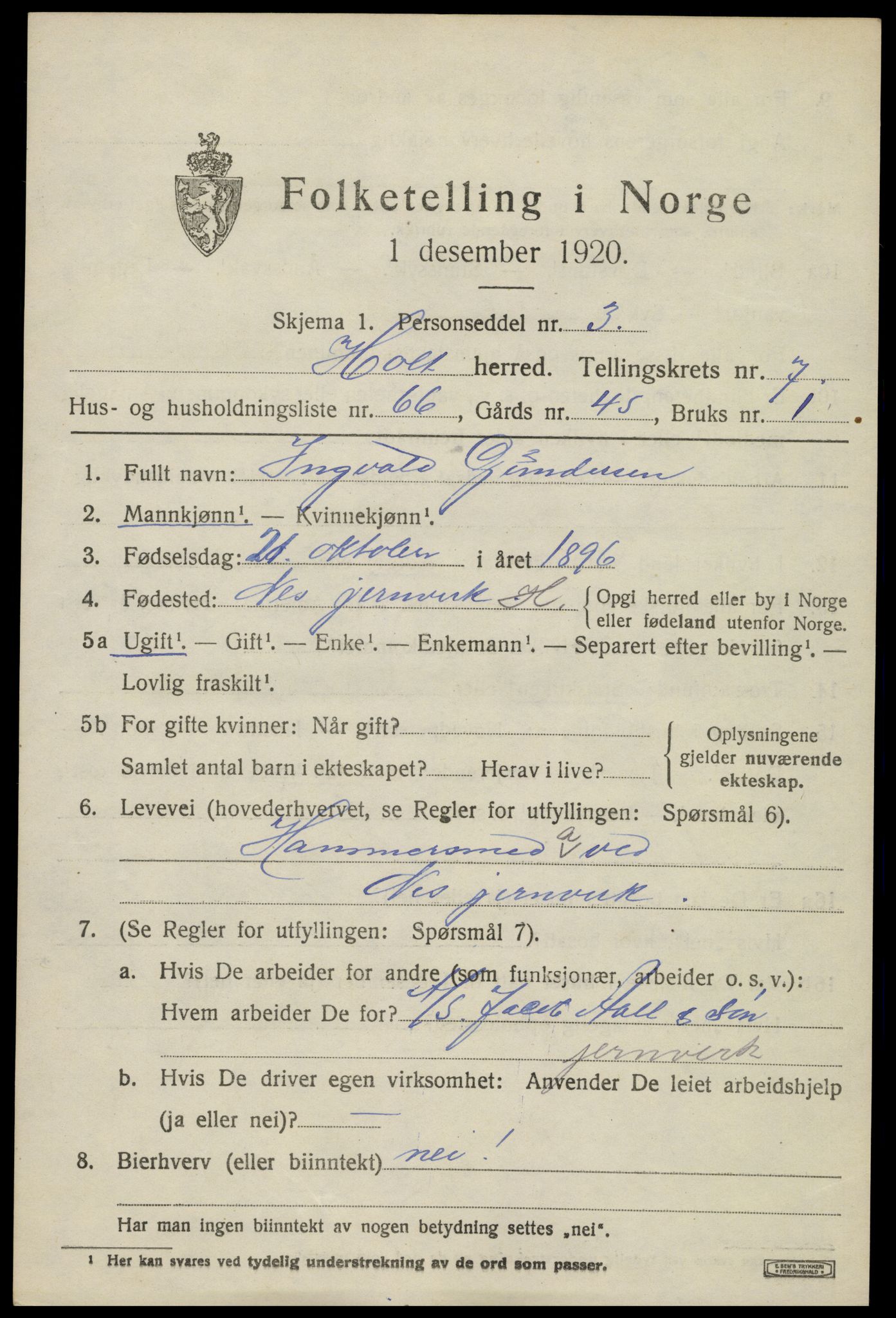 SAK, 1920 census for Holt, 1920, p. 4918