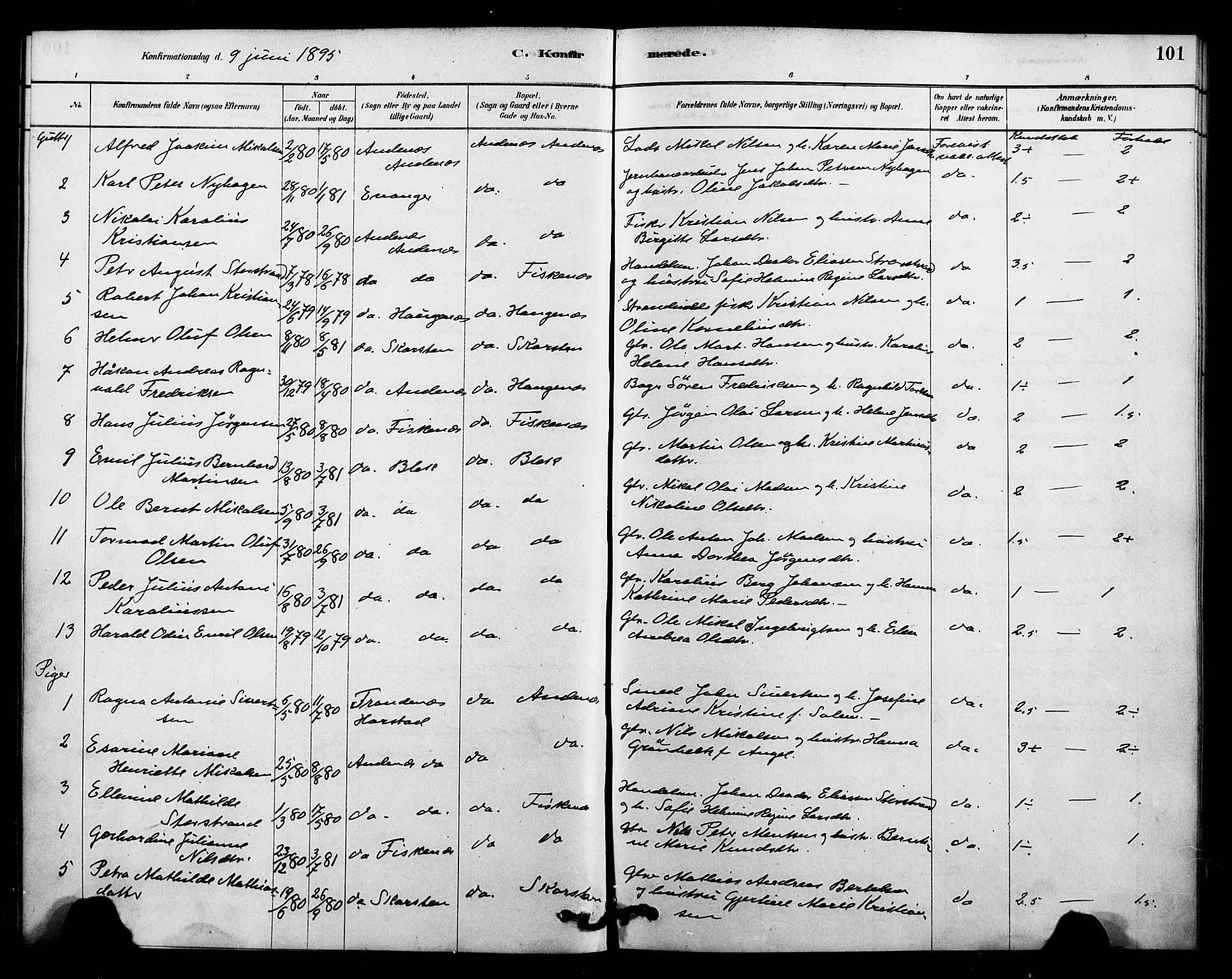 Ministerialprotokoller, klokkerbøker og fødselsregistre - Nordland, SAT/A-1459/899/L1436: Parish register (official) no. 899A04, 1881-1896, p. 101
