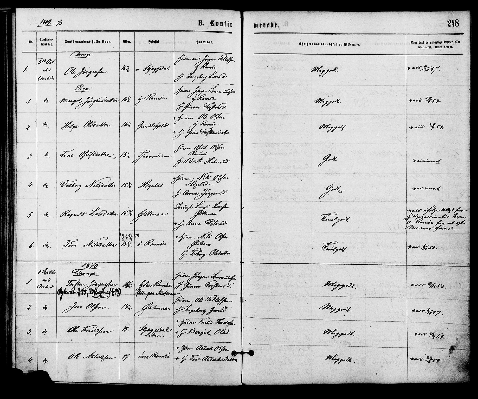 Åmli sokneprestkontor, SAK/1111-0050/F/Fa/Fac/L0009: Parish register (official) no. A 9 /3, 1869-1884, p. 248
